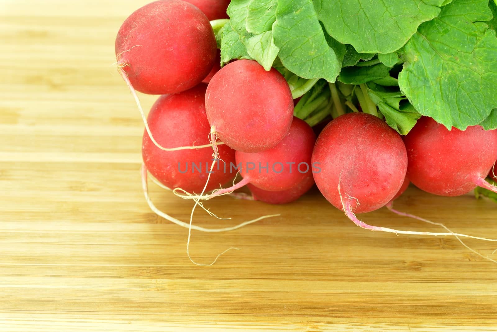 Close-up of a bunch of radishes on a board