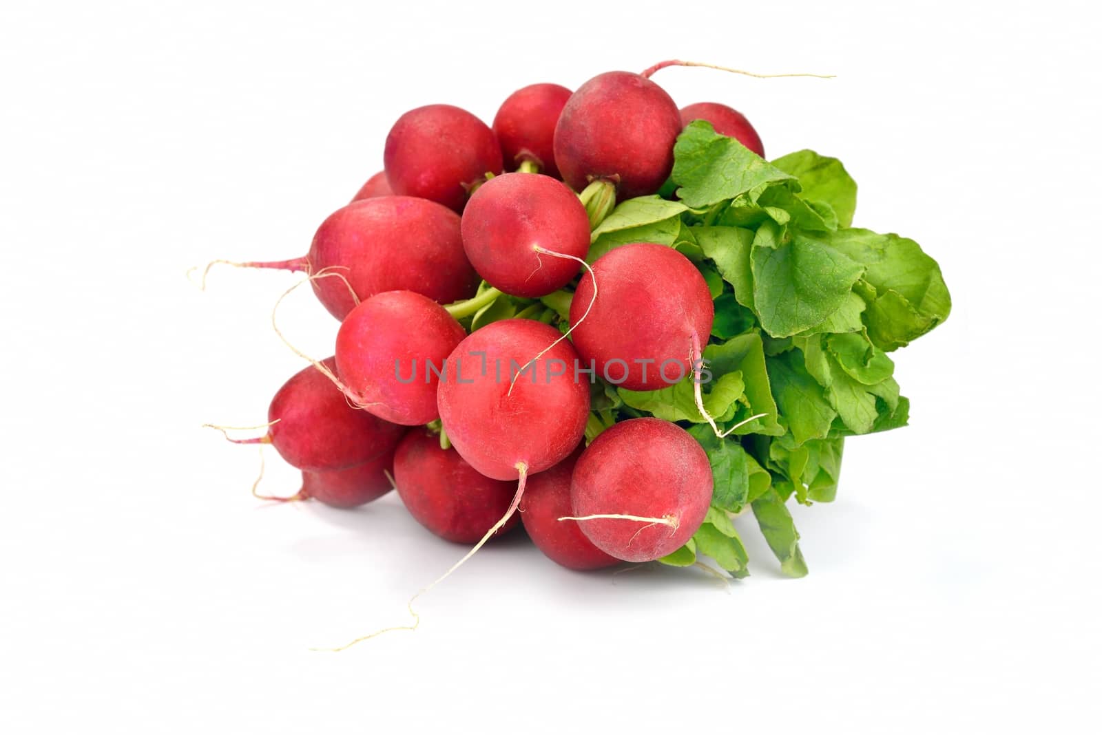 Close-up of a bunch of radishes over white background