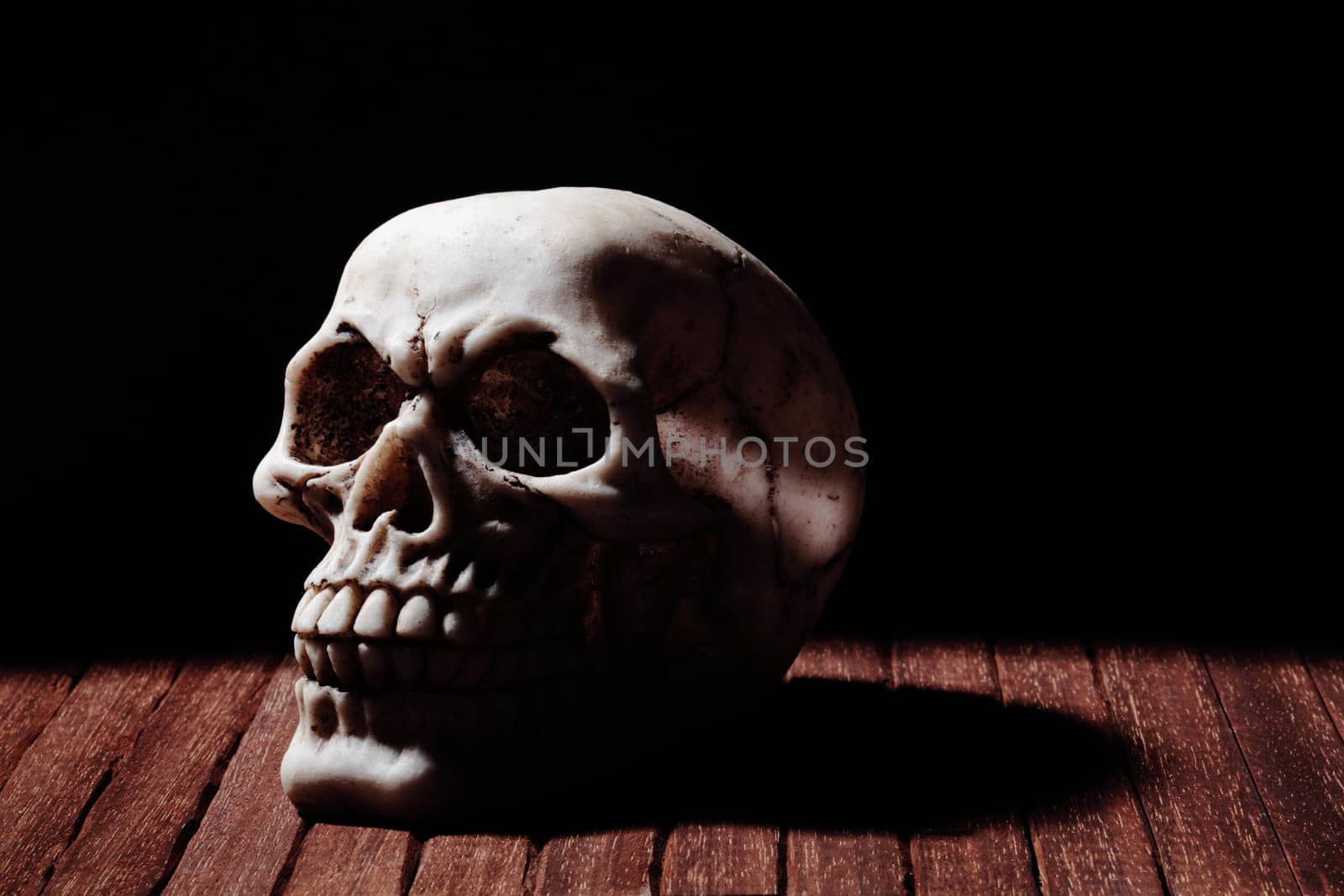 a human skull on a wooden floor and a black background
