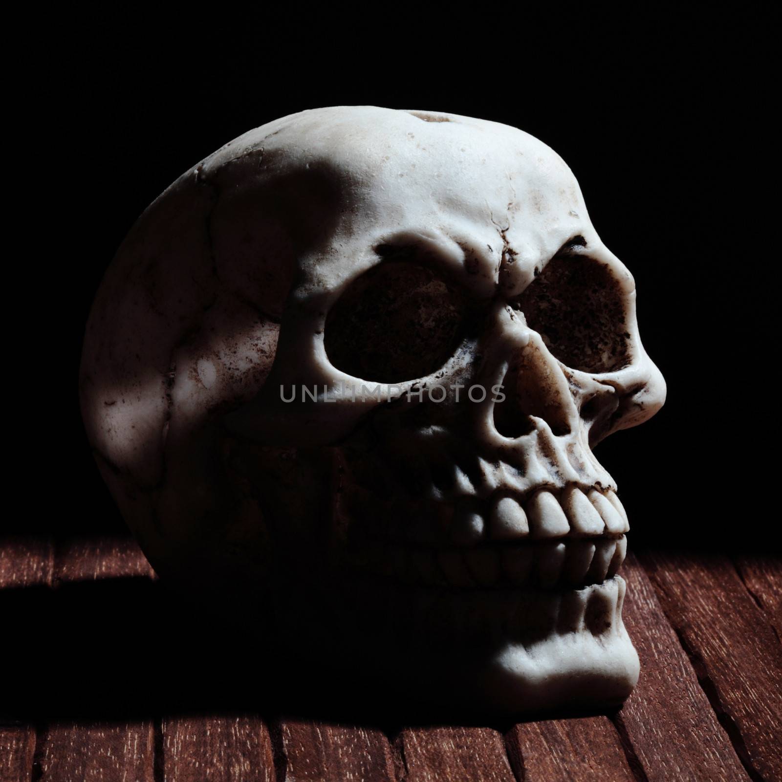 macabre scene with human skull
