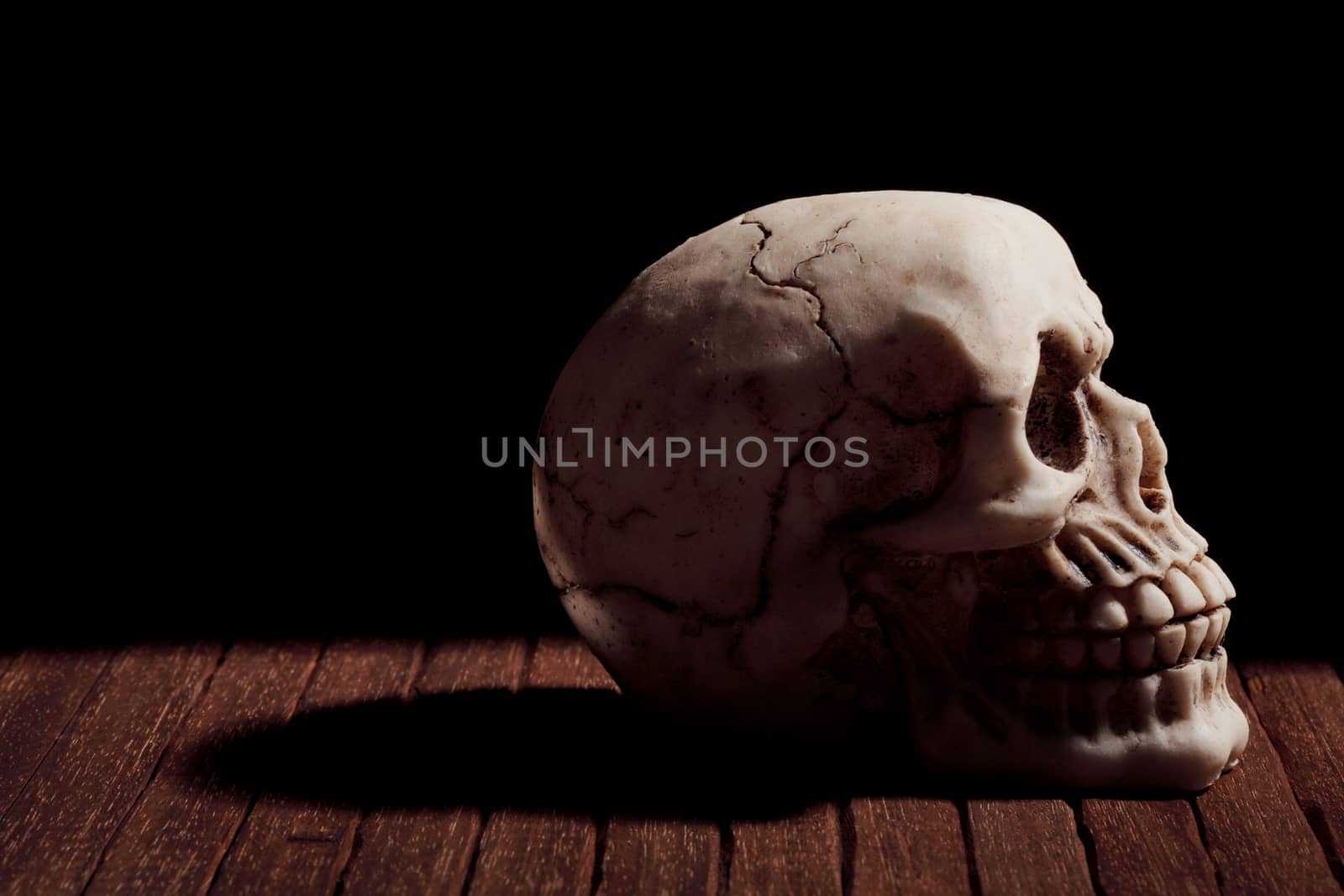 macabre scene with human skull