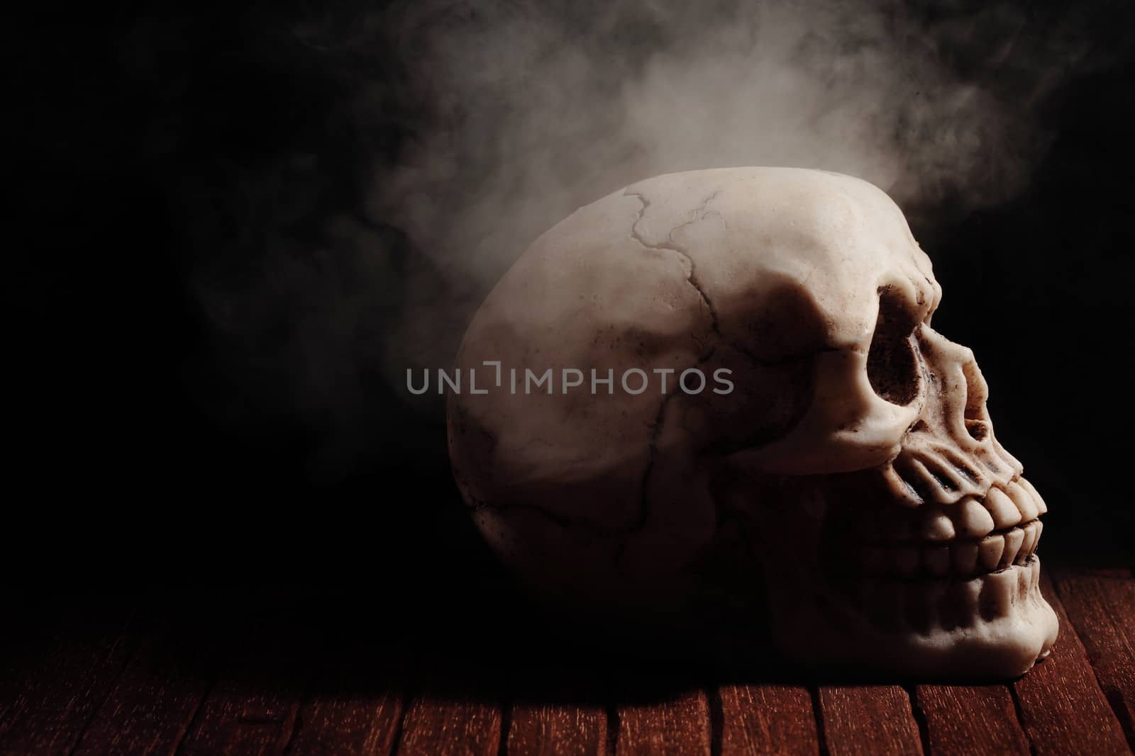 human skull over a wooden floor with a black background and some smoke around