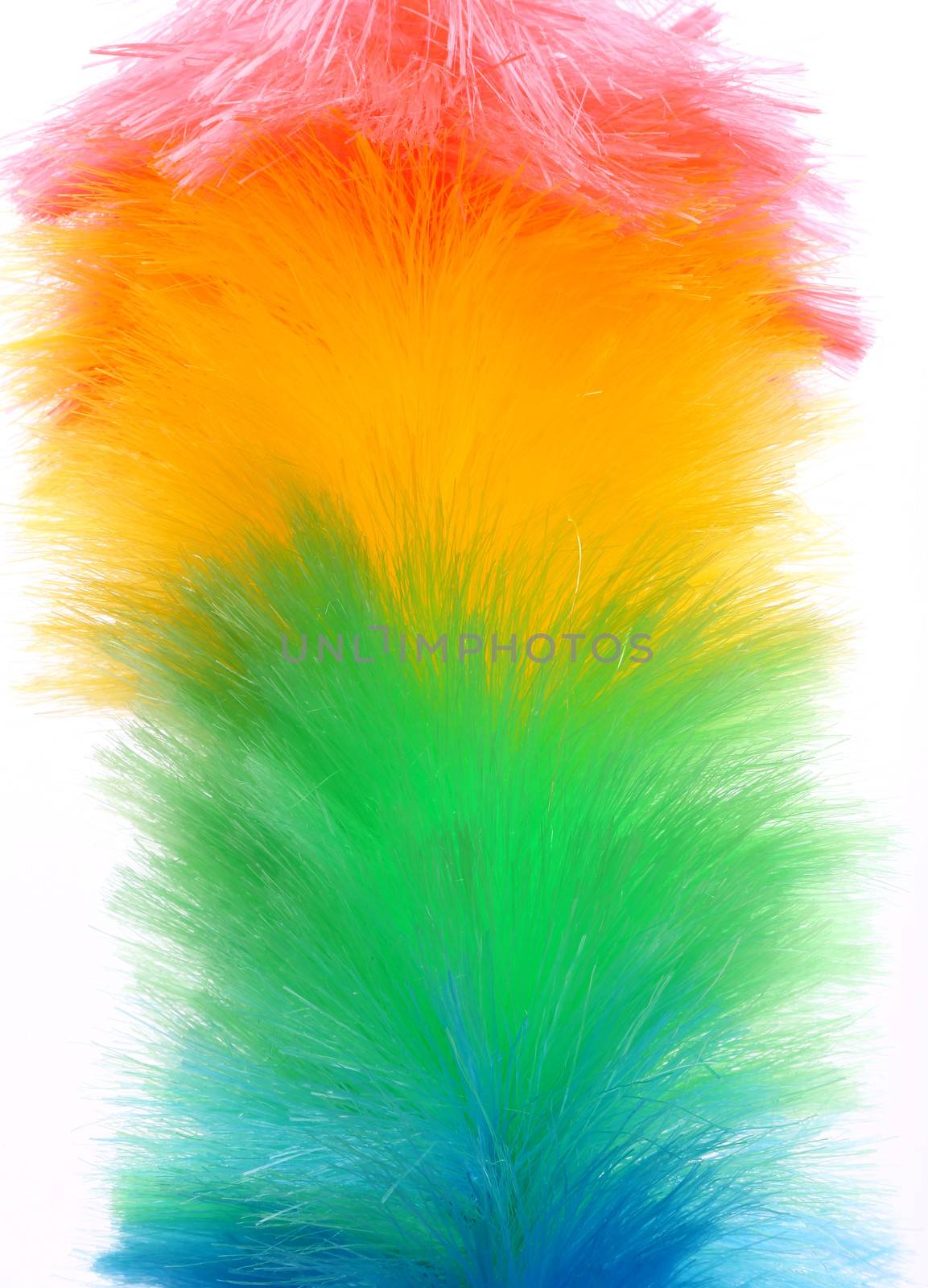 Soft colorful duster close-up by indigolotos