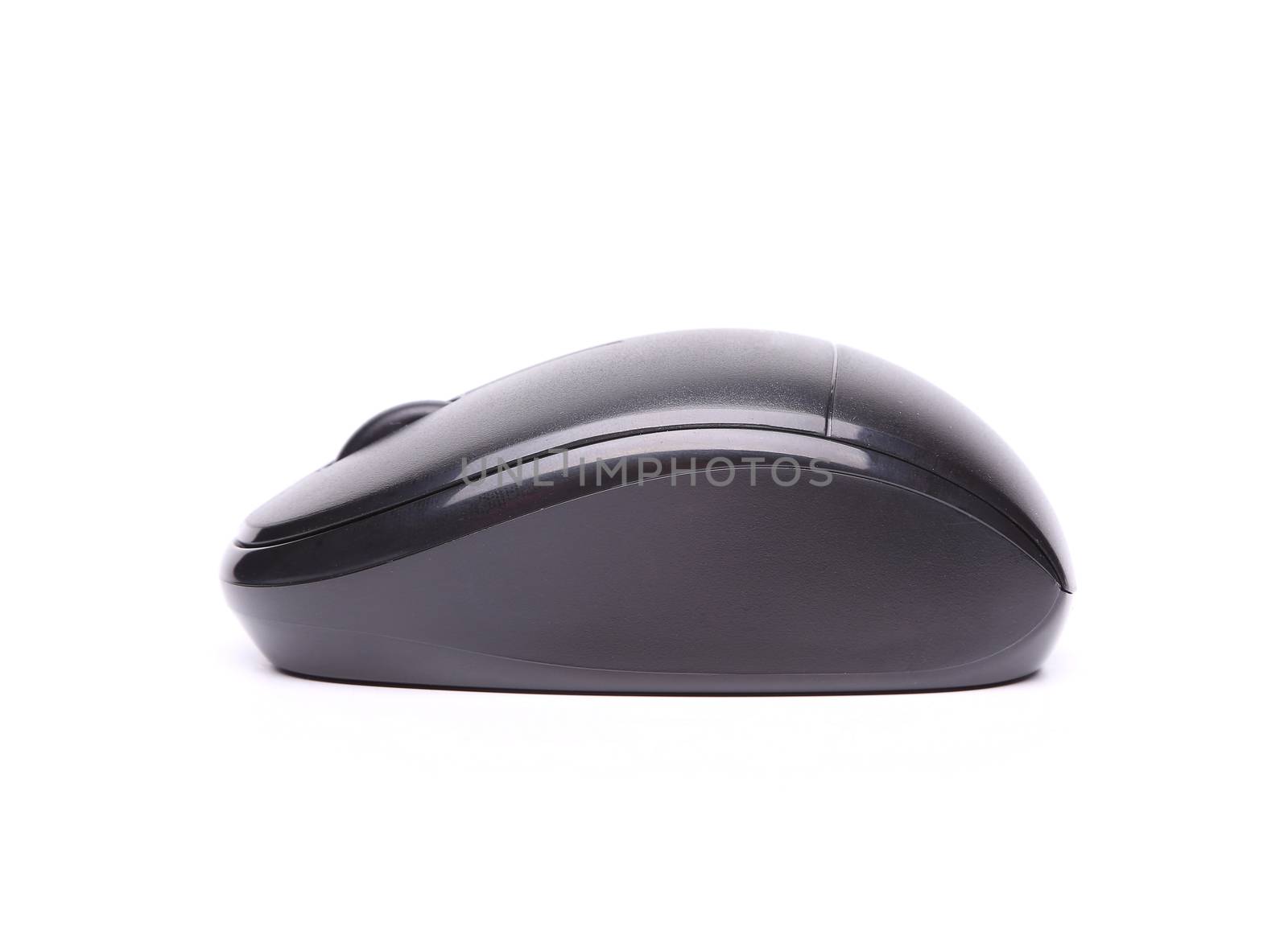 Wireless computer mouse isolated on white background flank by indigolotos