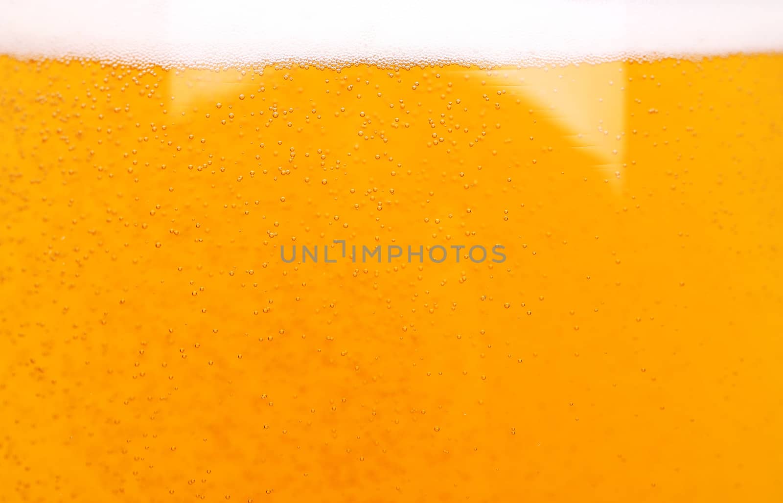 Light beer background by indigolotos