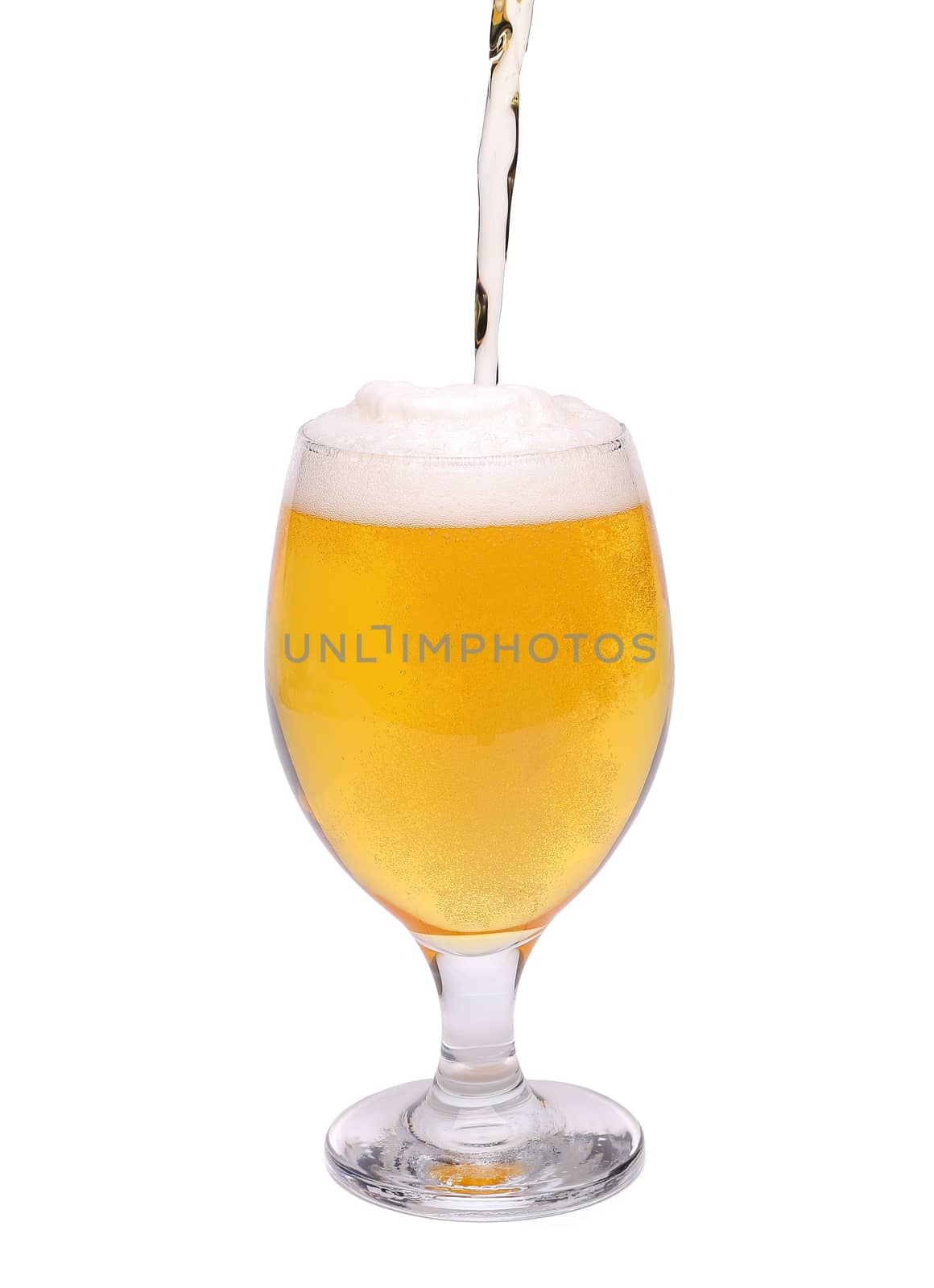 Beer glass of light beer stream