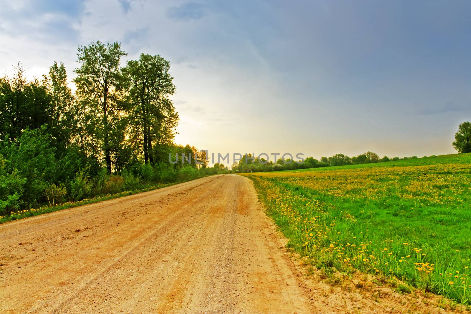 road through the field in the evening hdr