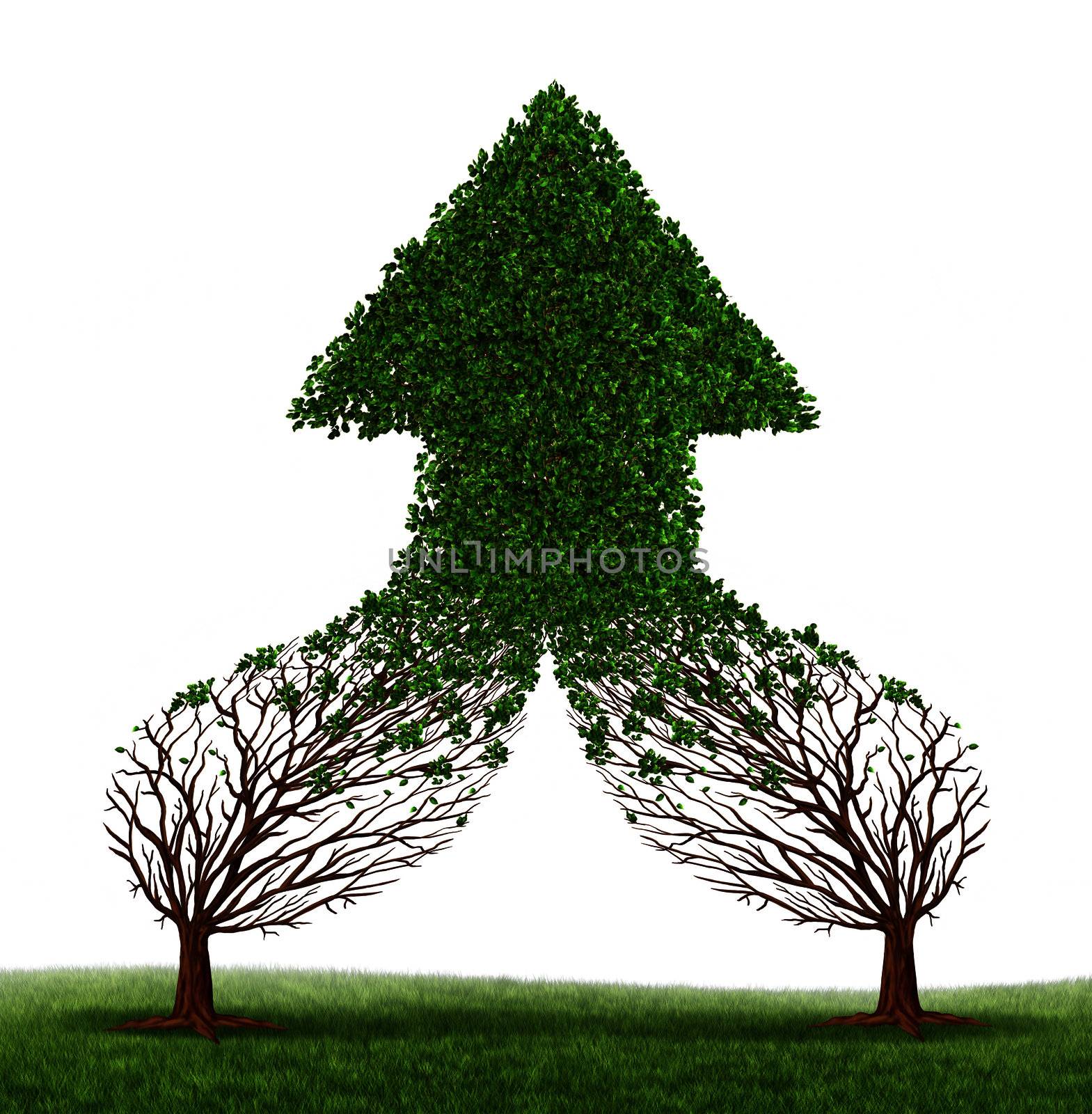 Teamwork Success and working together as a business symbol and financial merger concept with two trees connecting and merging as one forming a healthy growing arrow shaped tree as an icon of growth.