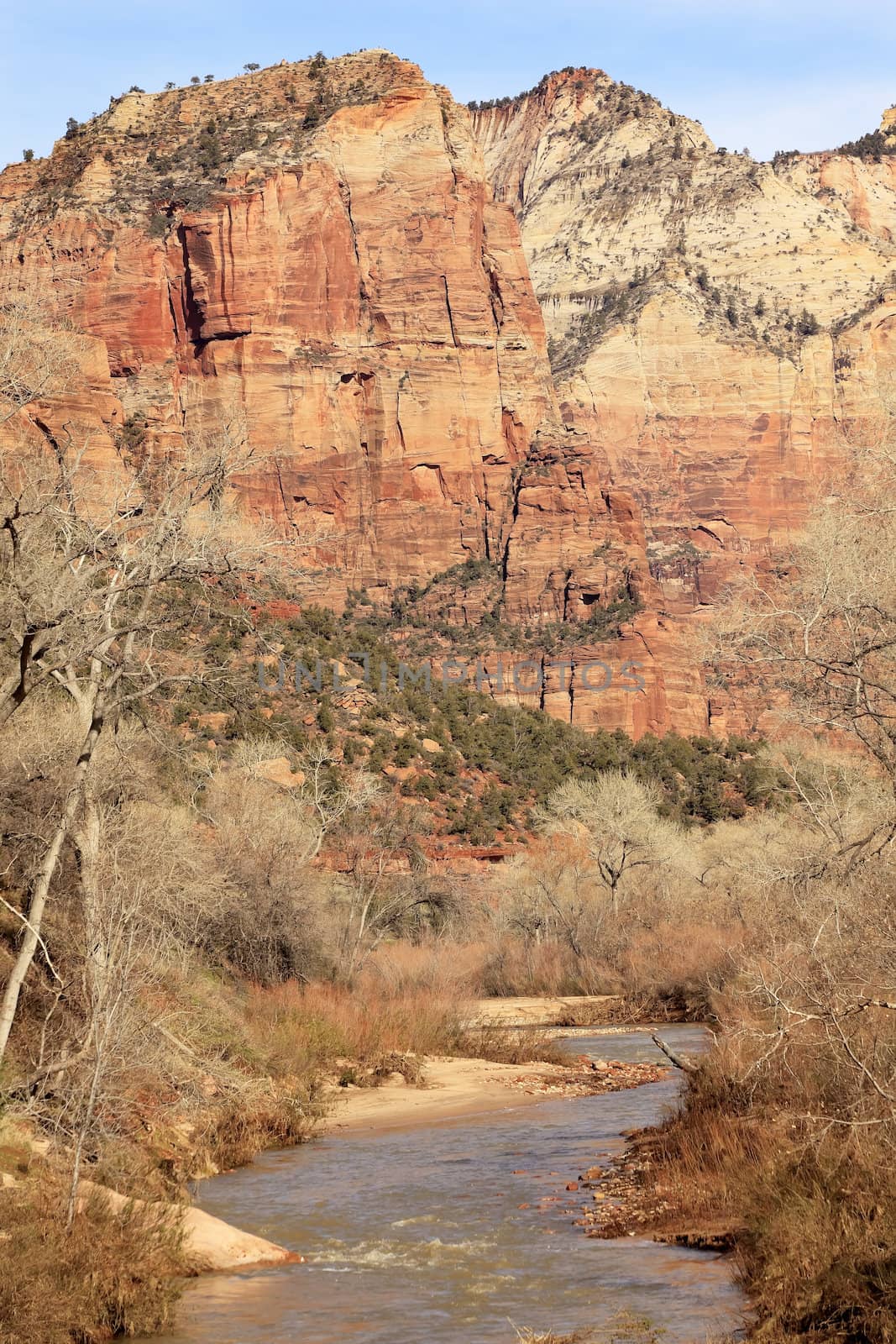 Virgin River Red Rock Canyon Zion National Park Utah Southwest