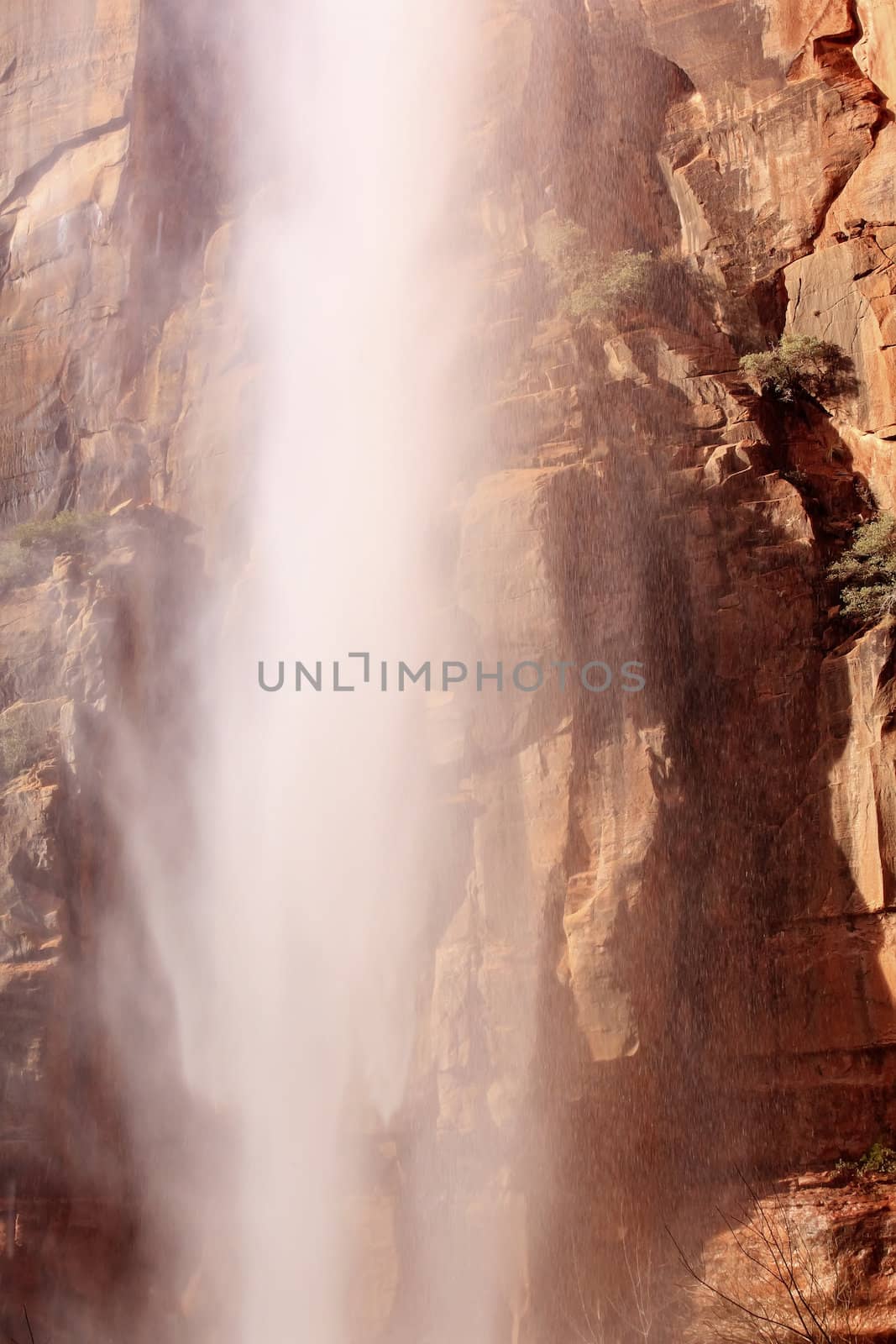 Falling Water Weeping Rock Waterfall Red Rock Wall Zion Canyon National Park Utah Southwest