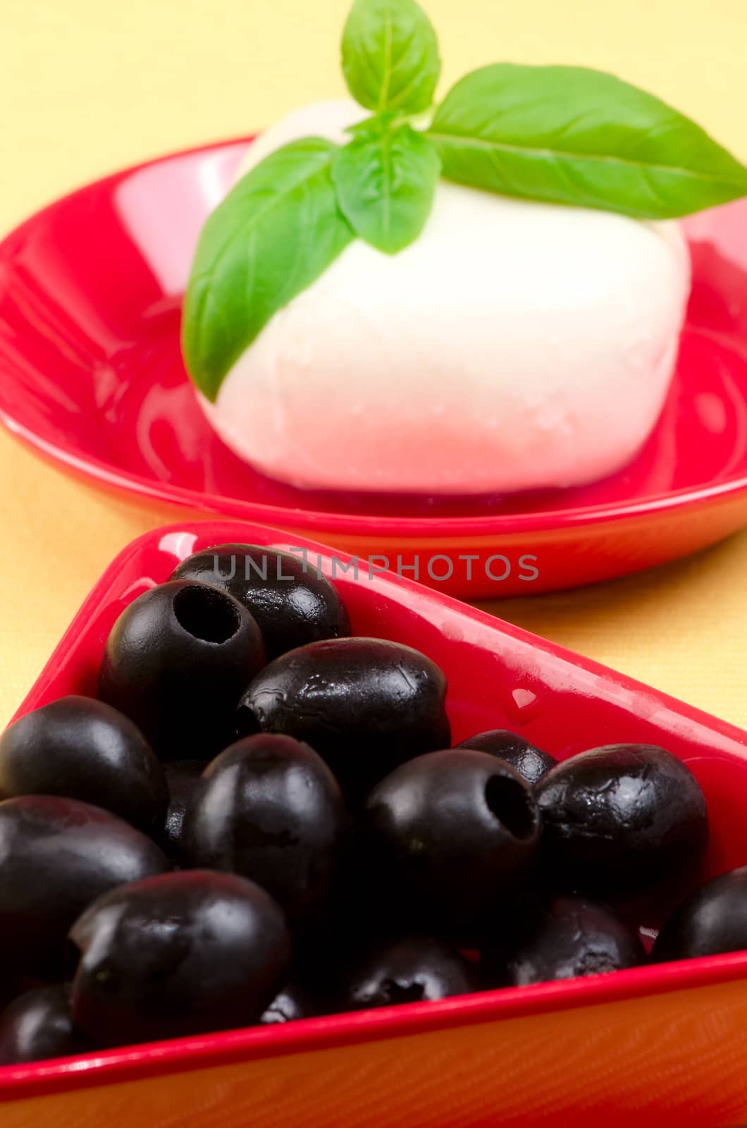 Italian mozzarella cheese with basil on a plate.