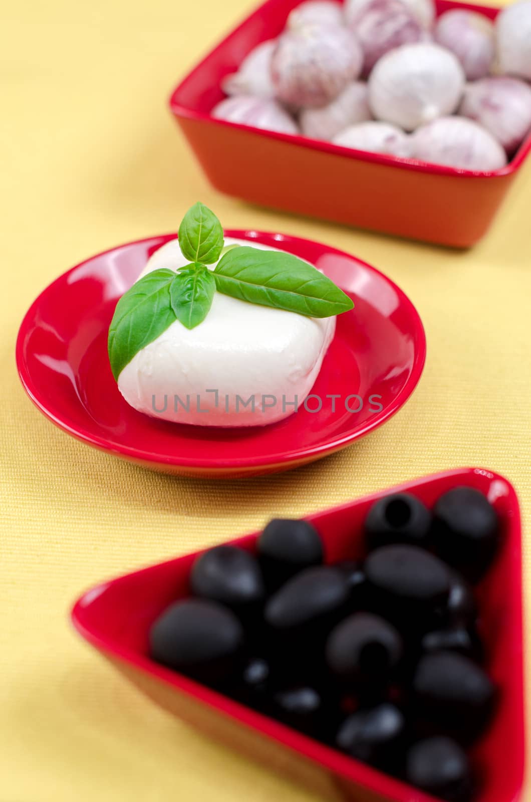 Italian mozzarella cheese with basil on a plate.