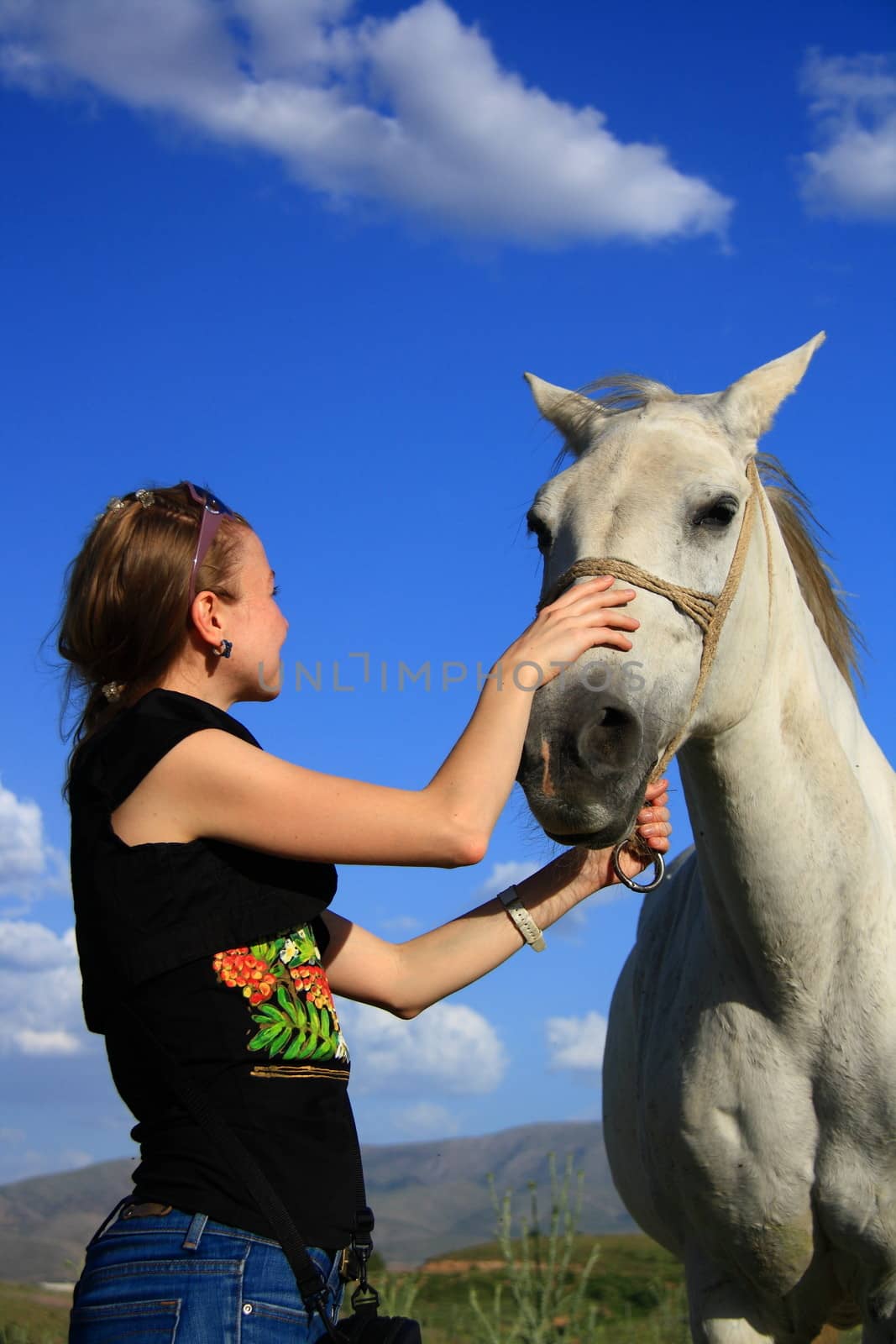 veterinary woman controling horse health by mturhanlar