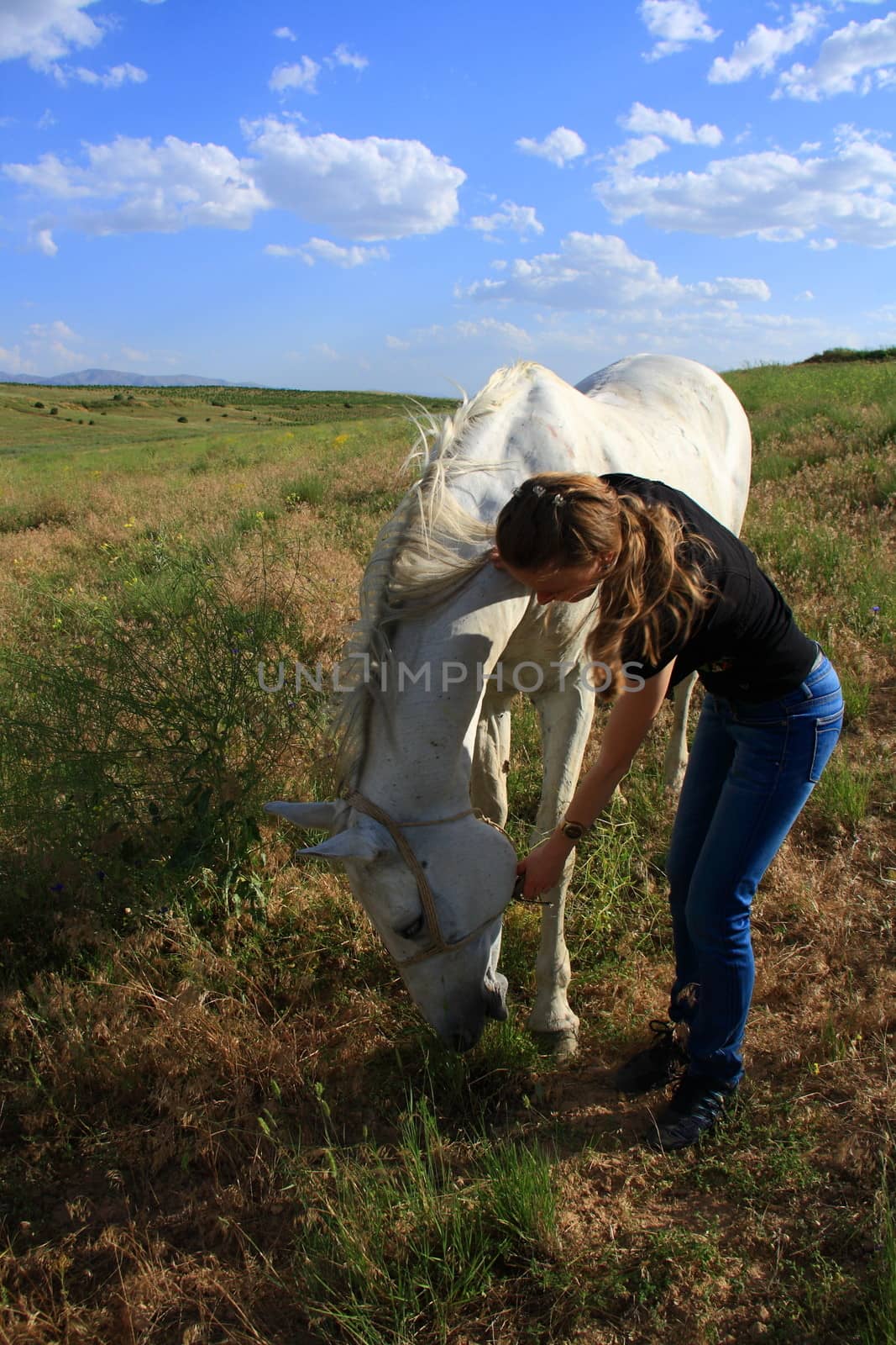 veterinary woman controling horse health by mturhanlar