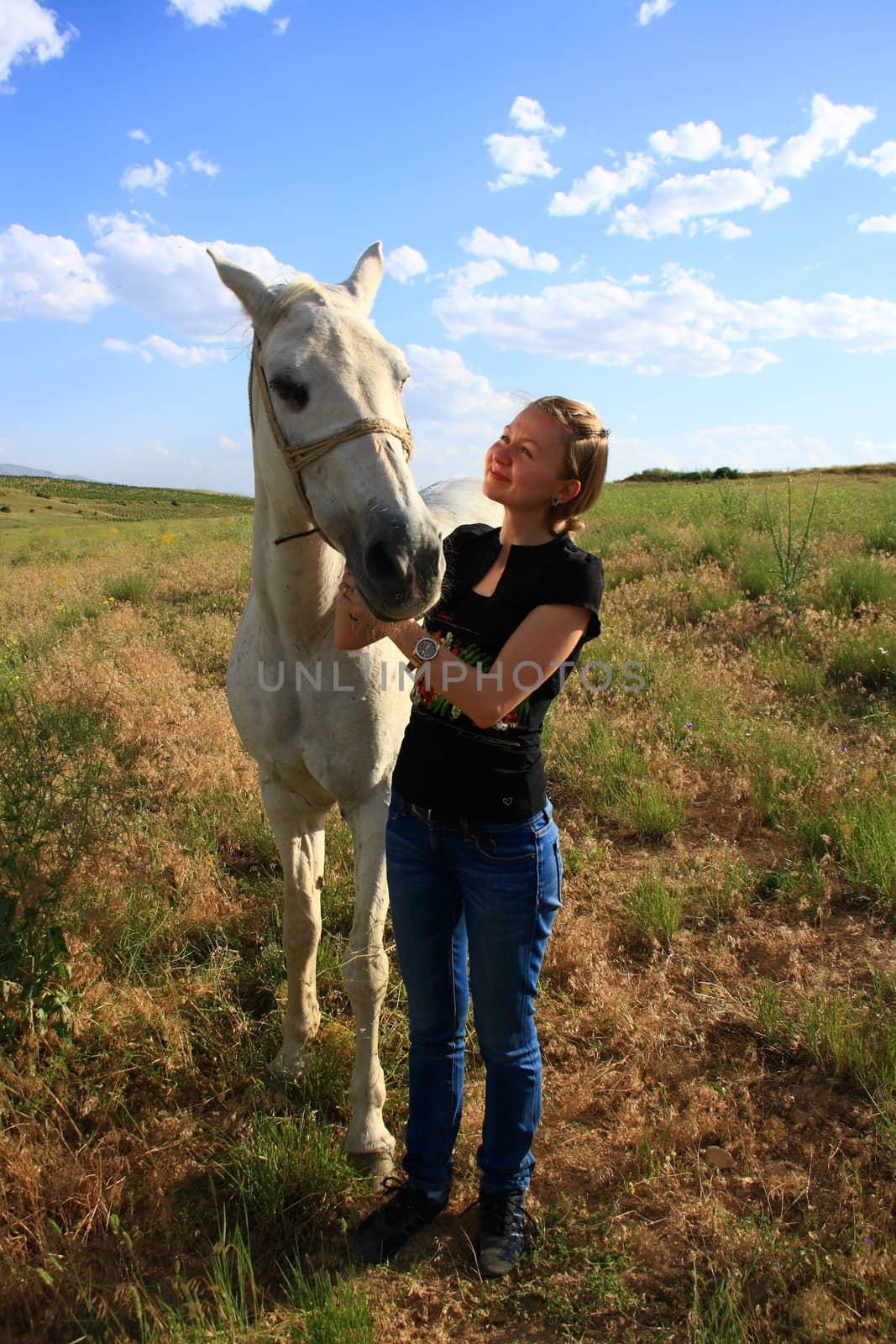 veterinary woman controling horse health by mturhanlar