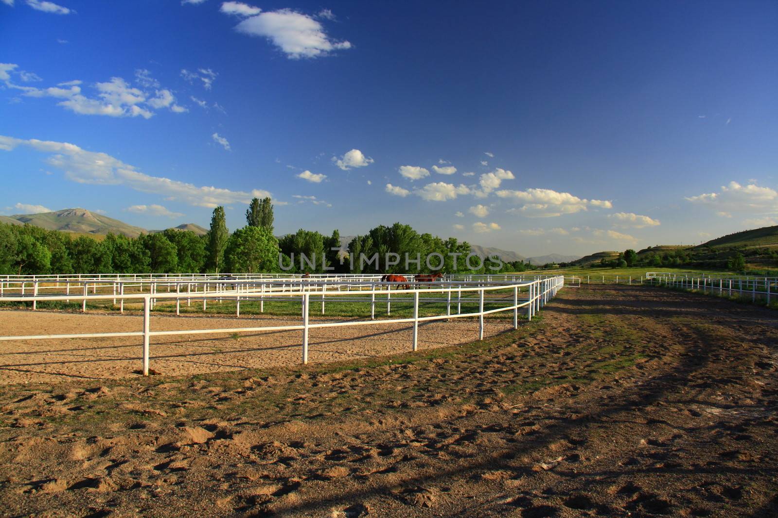 area for horse training by mturhanlar