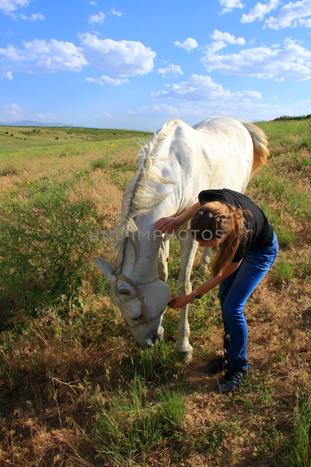 veterinary woman controling horse health by mturhanlar