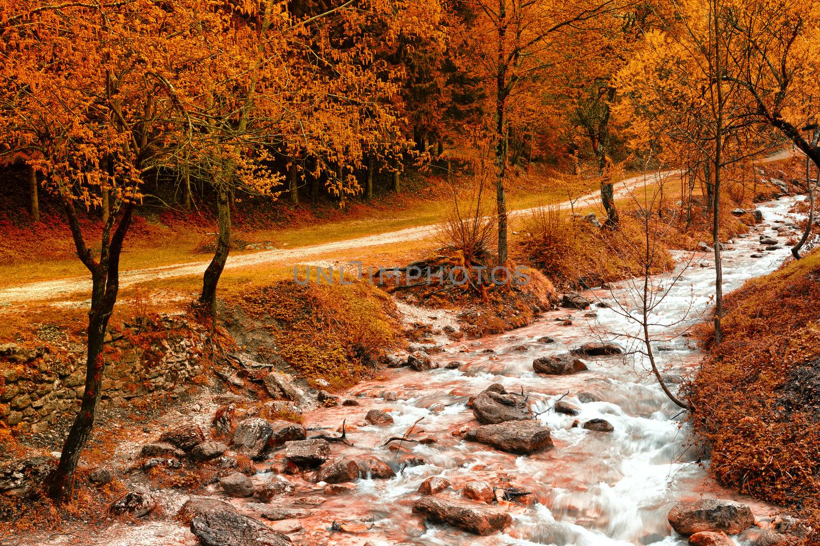 Little river next to a path that leads up the mountain near a groove in fall, Madonna of Lambro, Italy