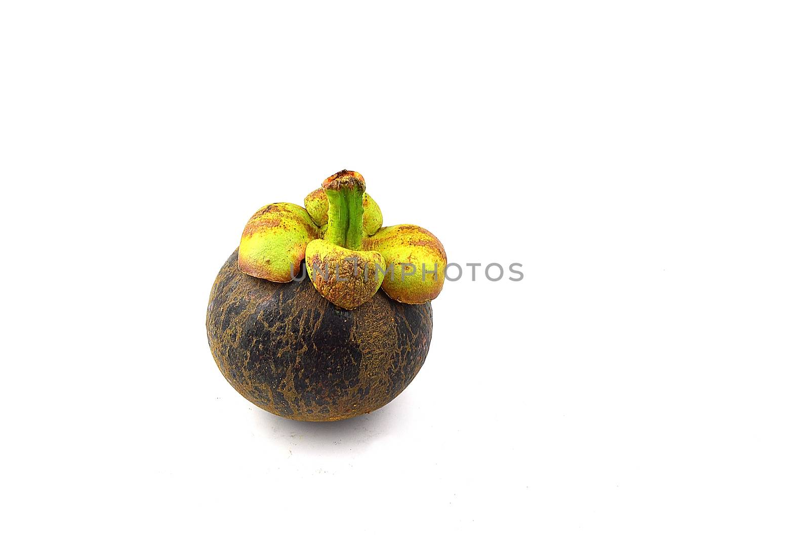 mangosteen fruit and cross section showing the thick purple skin and white flesh of the queen of fruits.