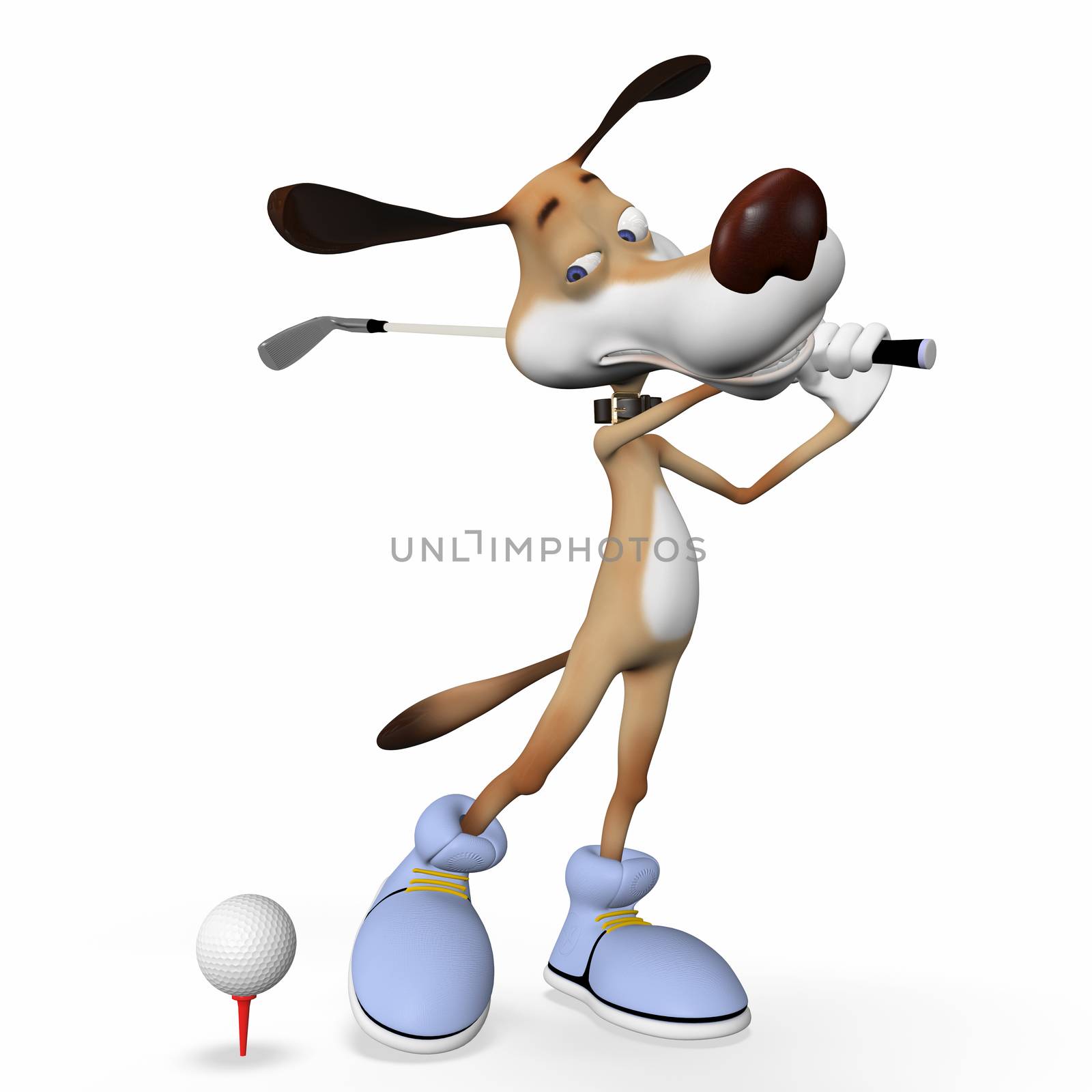 Dog playing golf outdoors in good weather.
