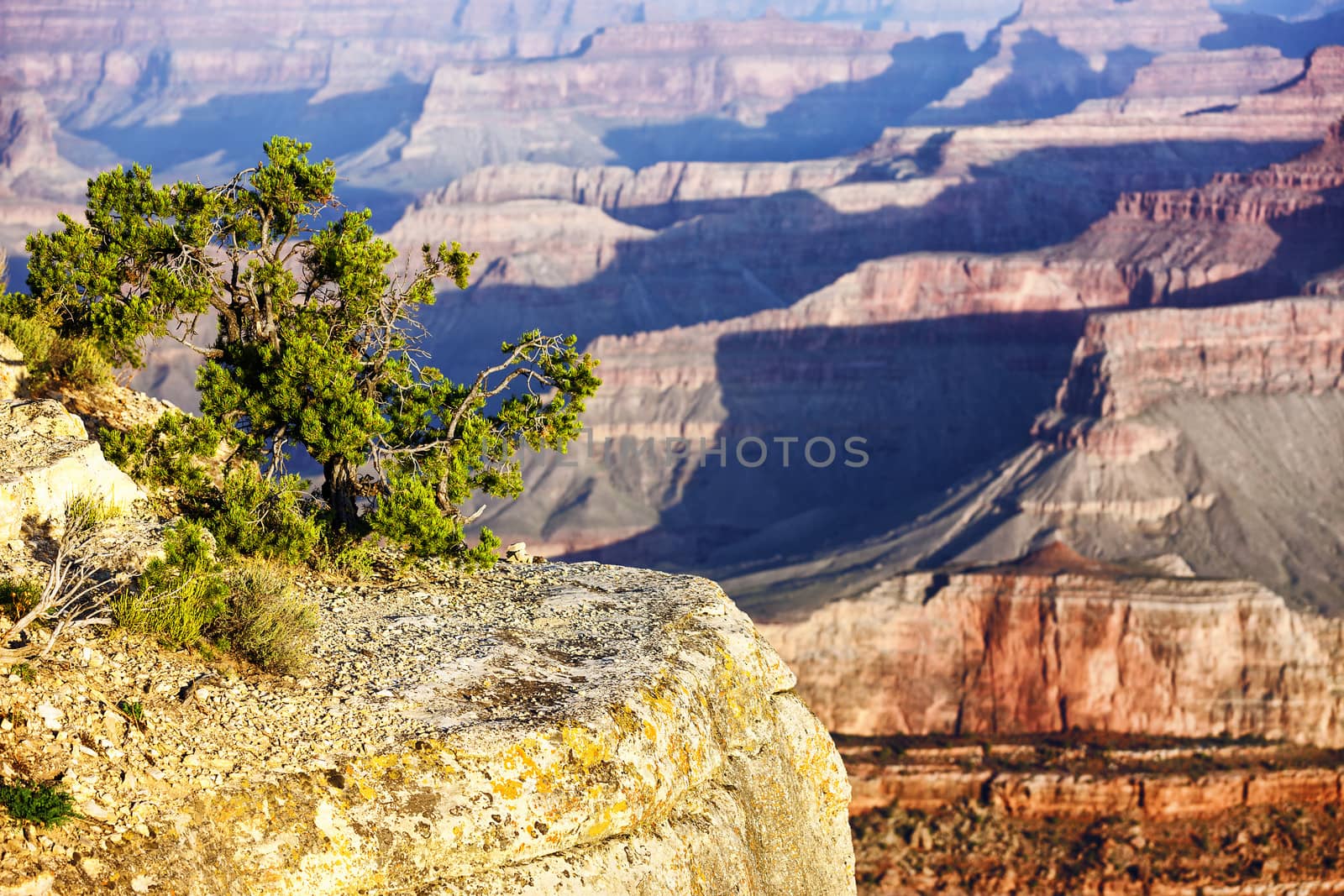 Horizontal view of famous Grand Canyon, USA