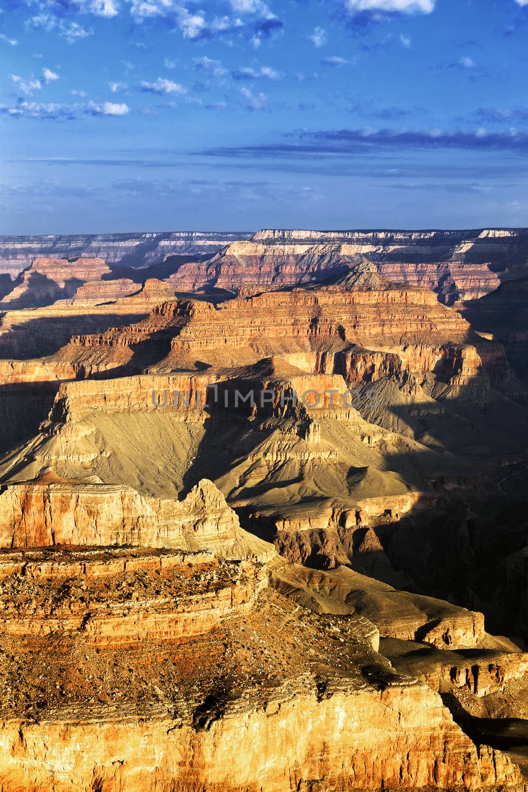 vertical view of famous Grand Canyon, USA