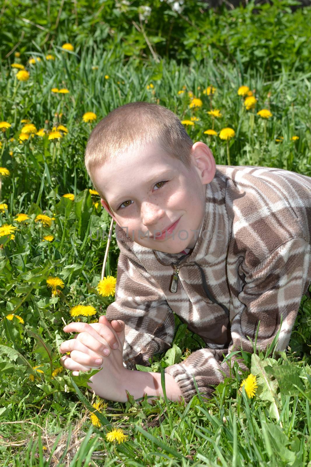 potrait of the teenager on a glade from dandelions