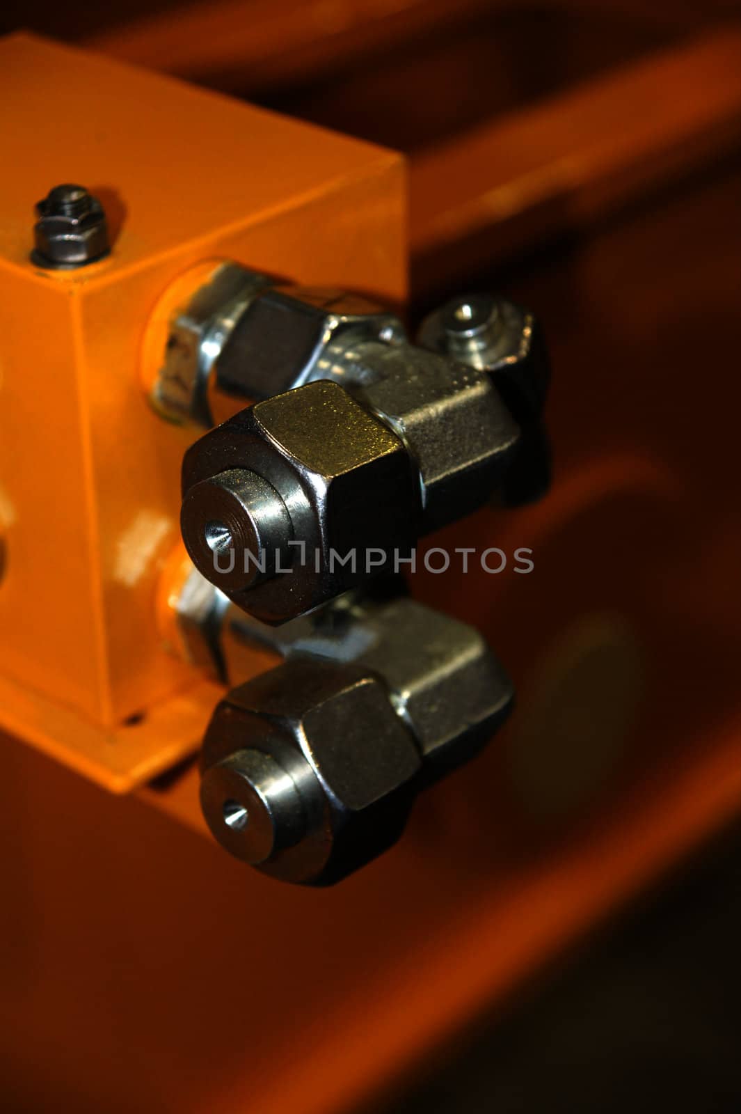 The nuts with plugs are located on the yellow detail 