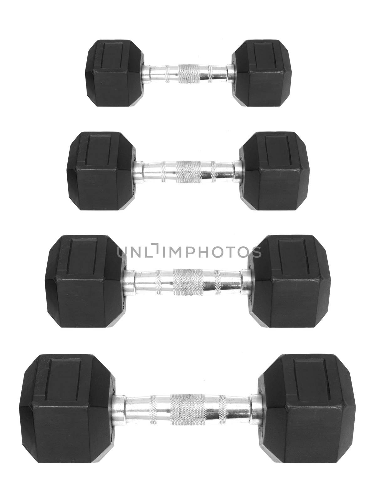 Gym Weights by Kitch