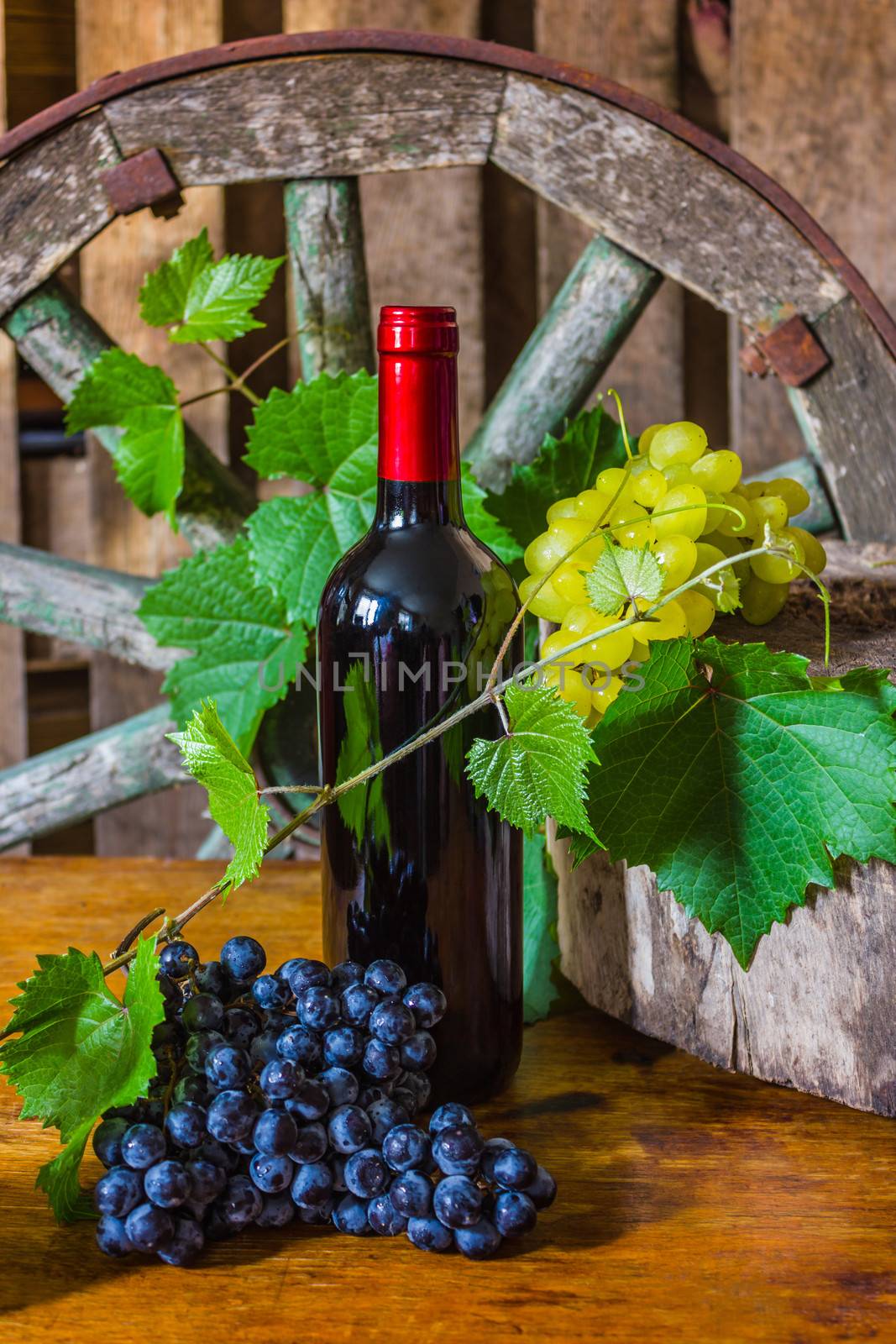 A bottle of wine on the background of the vine in a vintage entourage