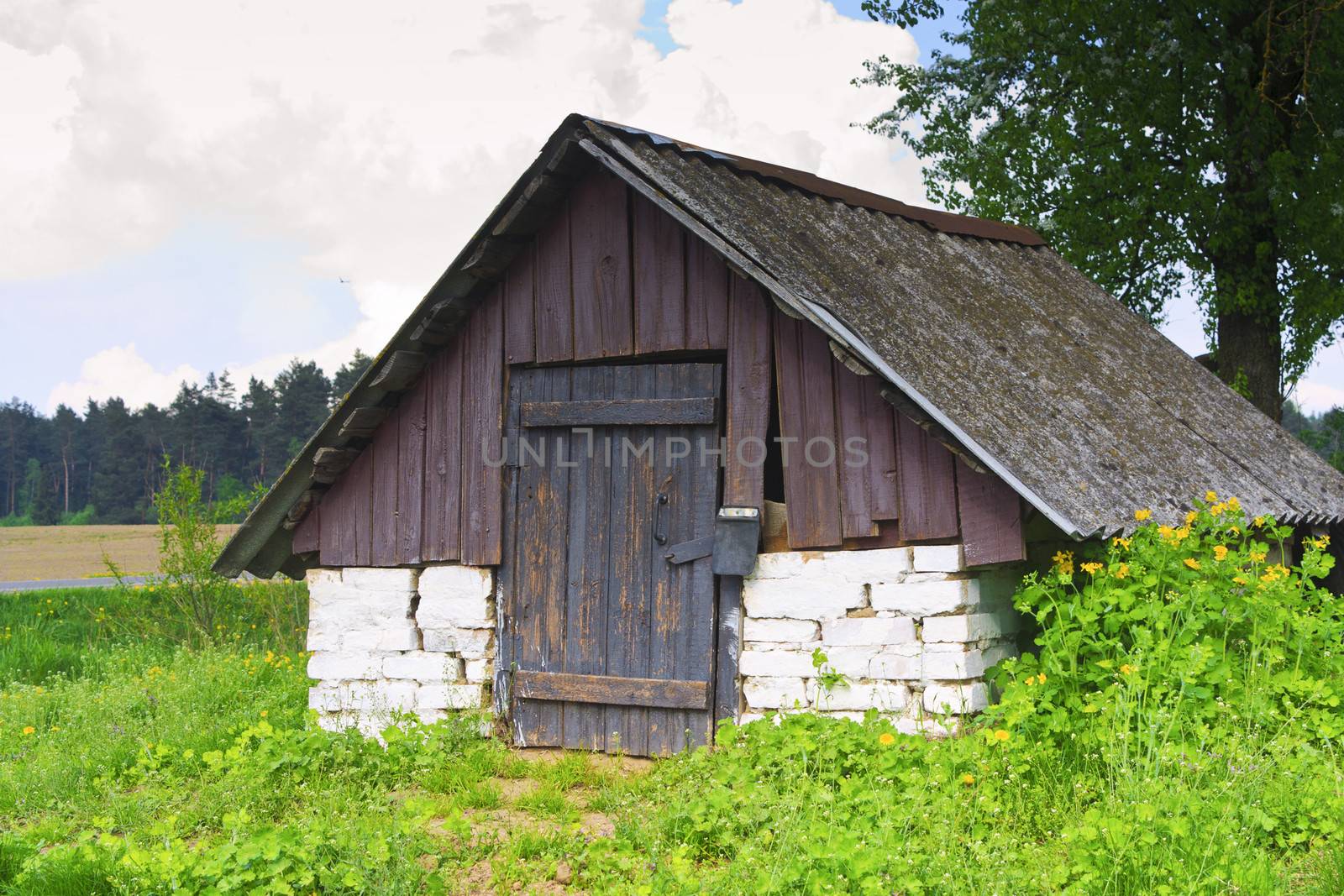 Non-residential rustic barn in the woods horisontal