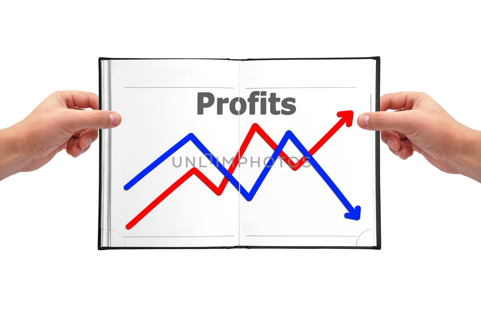 drawing graph of growth in book in hand