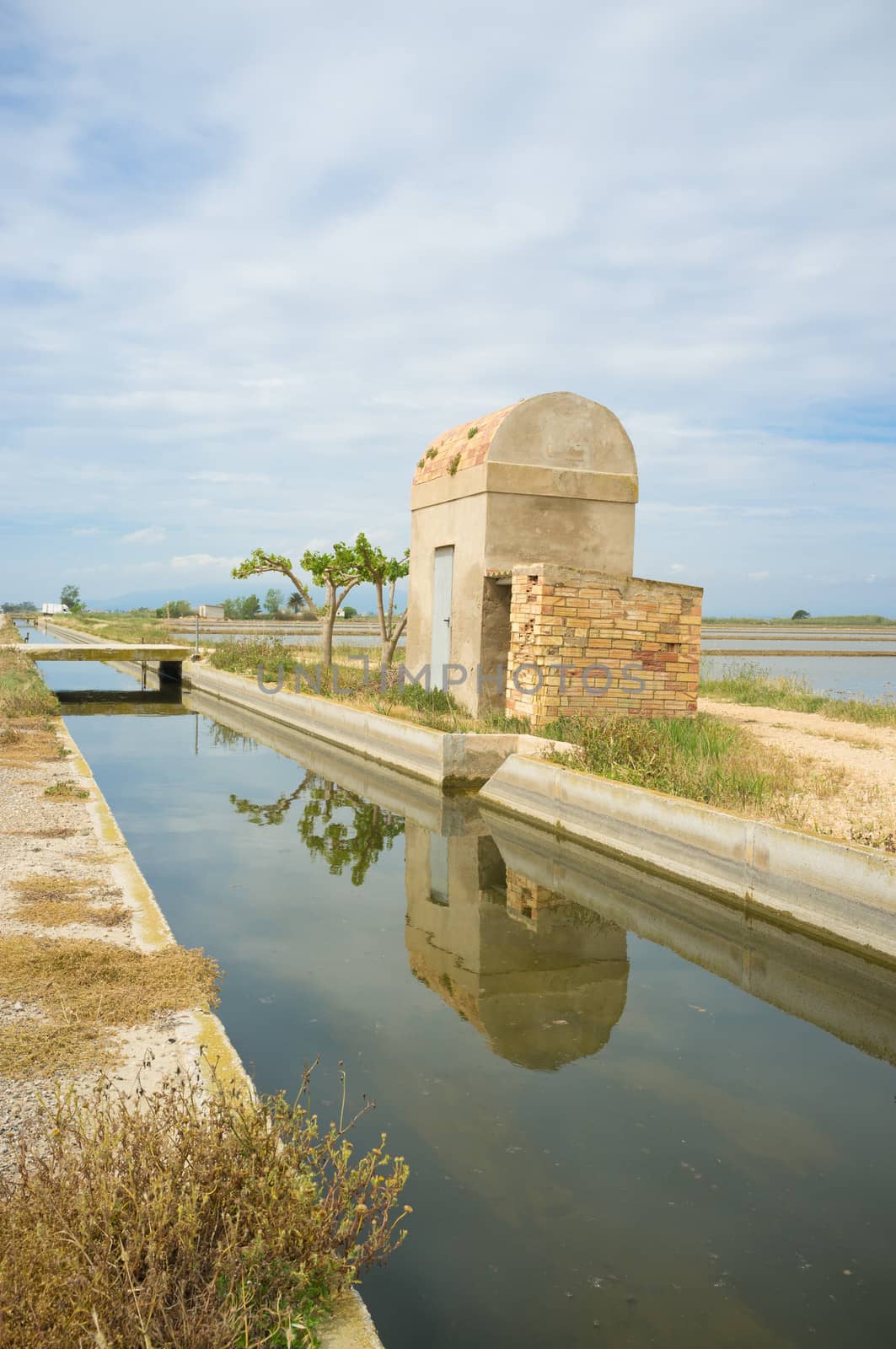 Irrigation canal through rice fields at Ebro delta, Spain