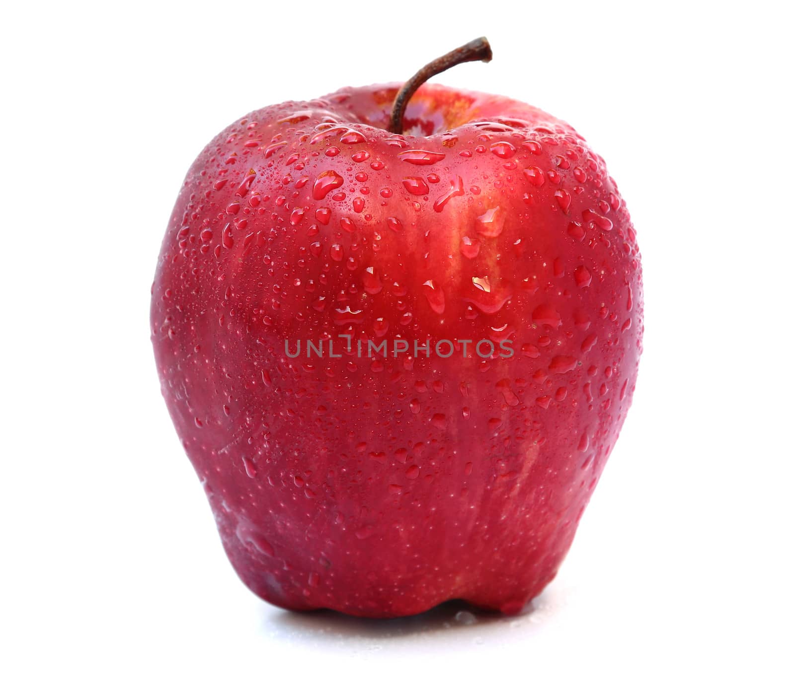 Close up red apple with water drops isolated on white background