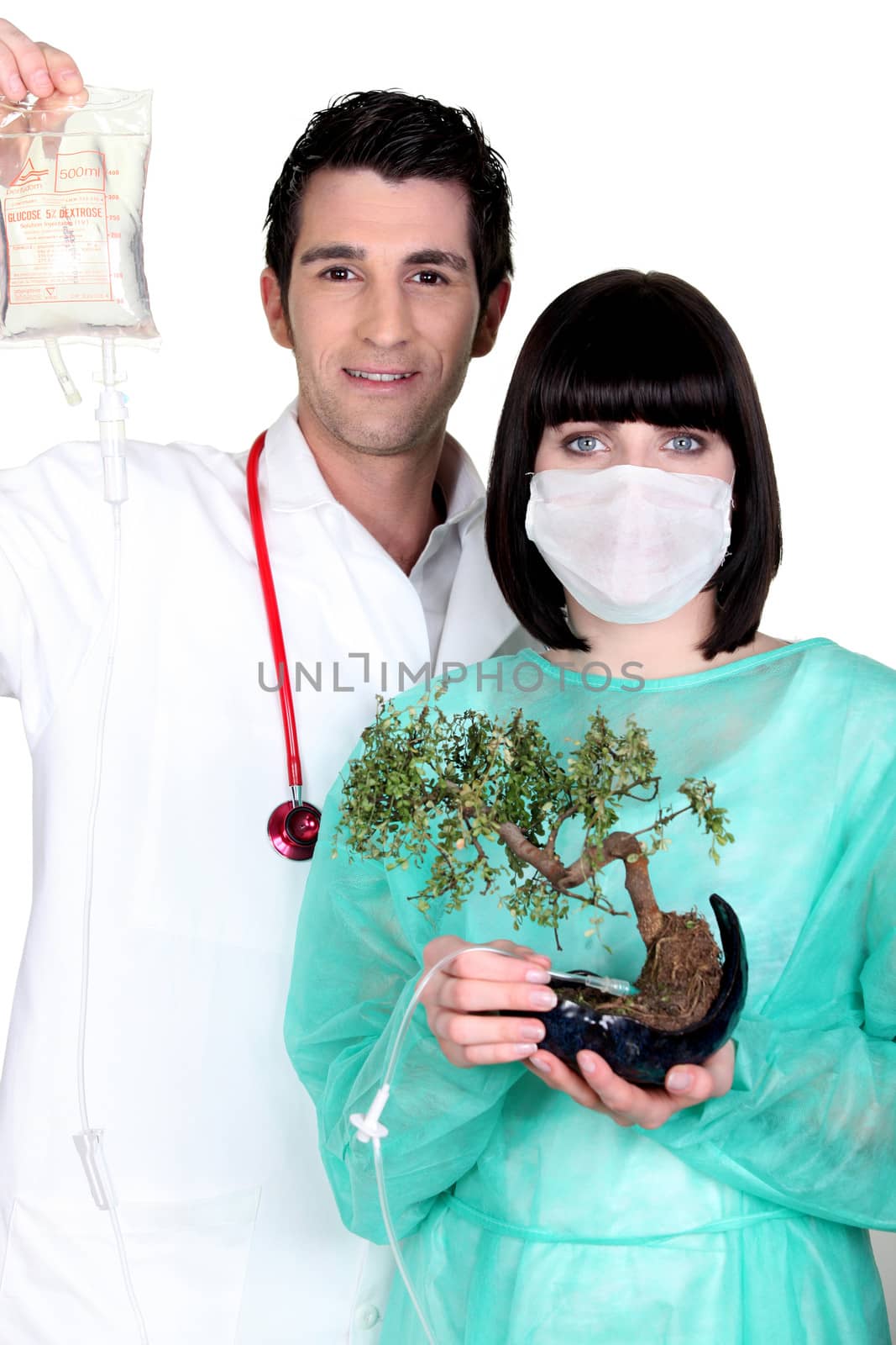 Doctor and nurse with drip and bonsai