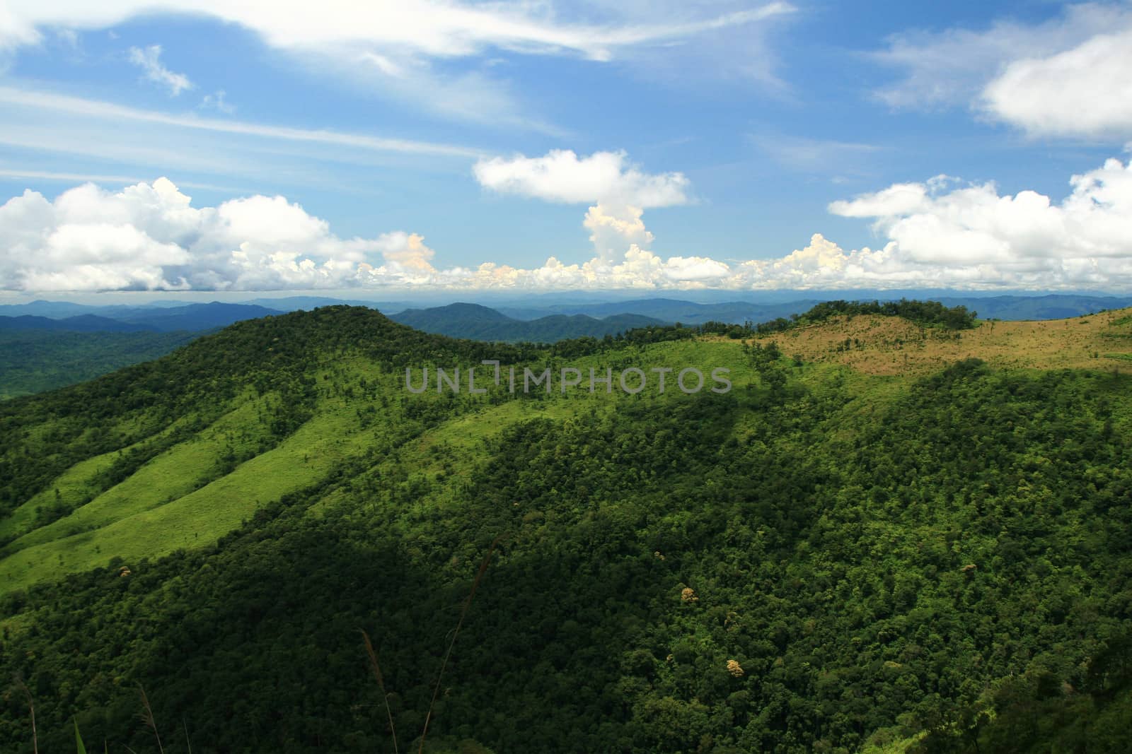 Mountains and tropical rain forest in Thailand