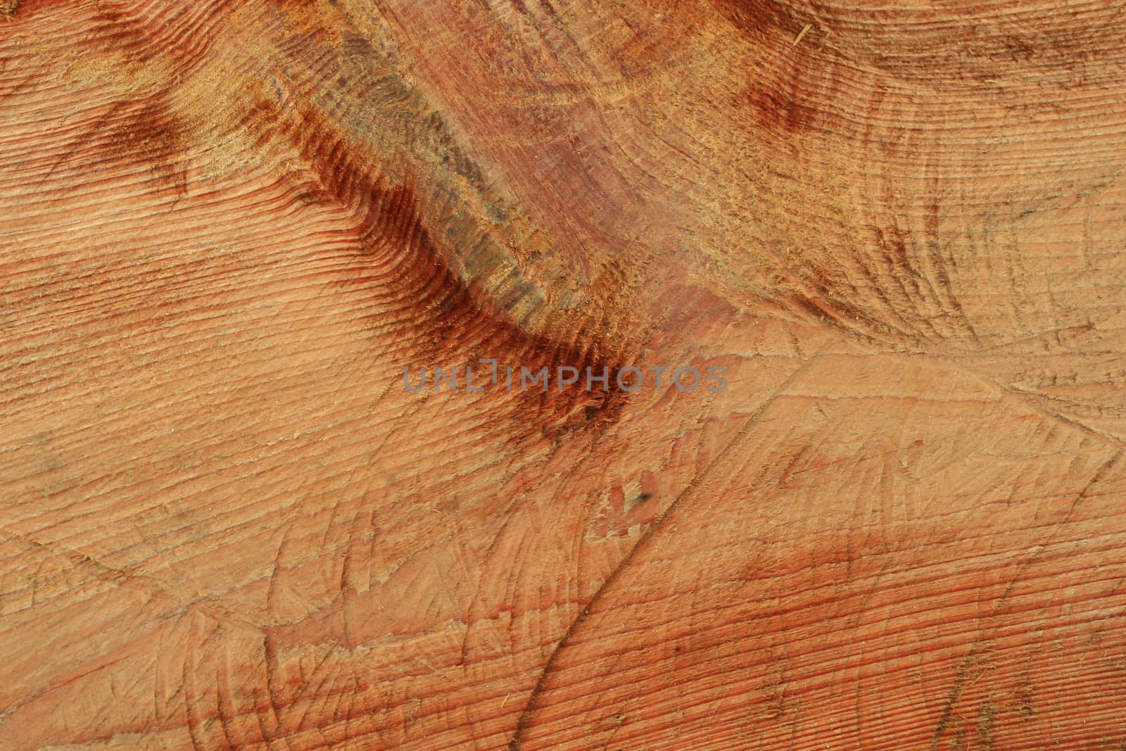 Wood texture