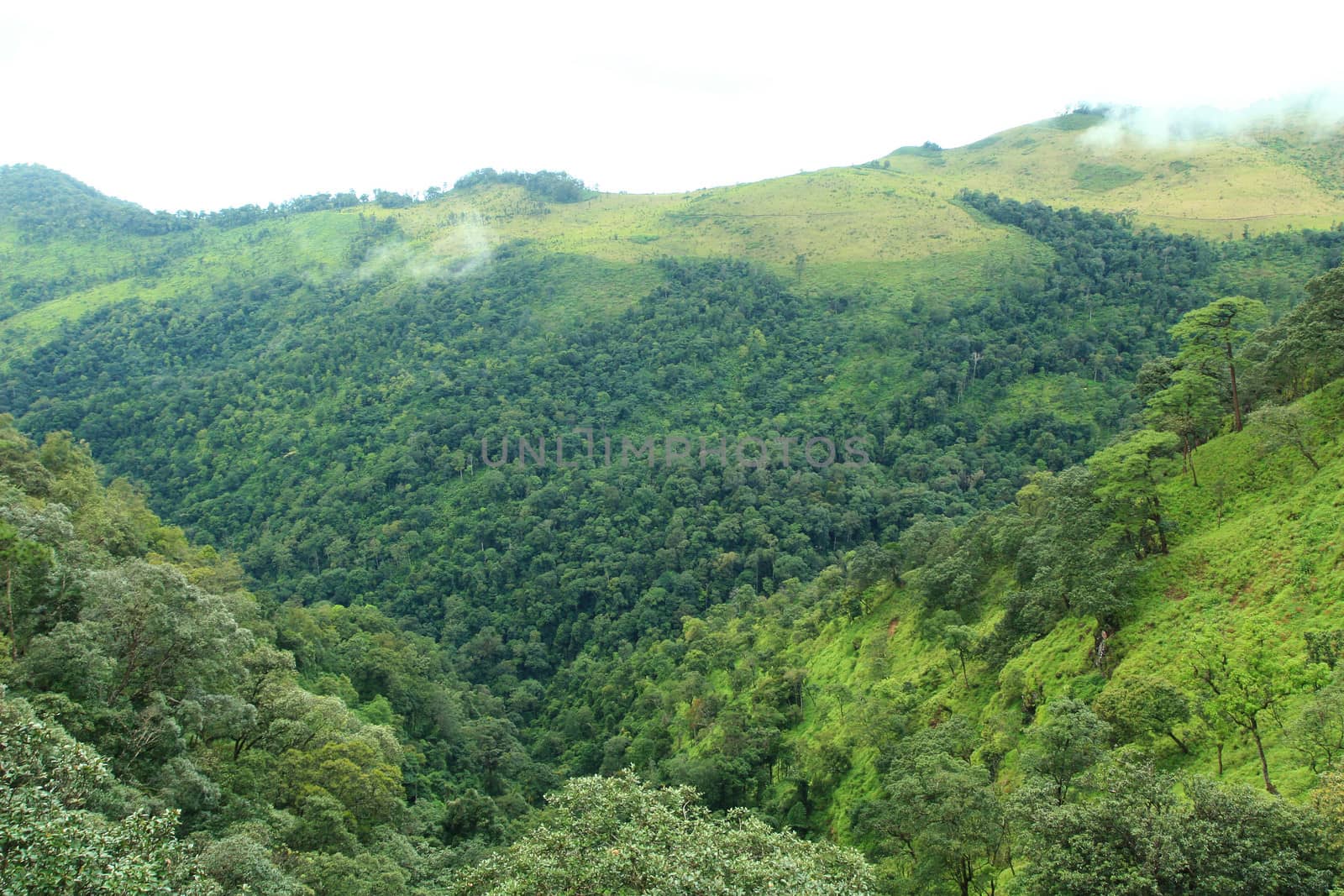 Mountains and tropical rain forest in Thailand