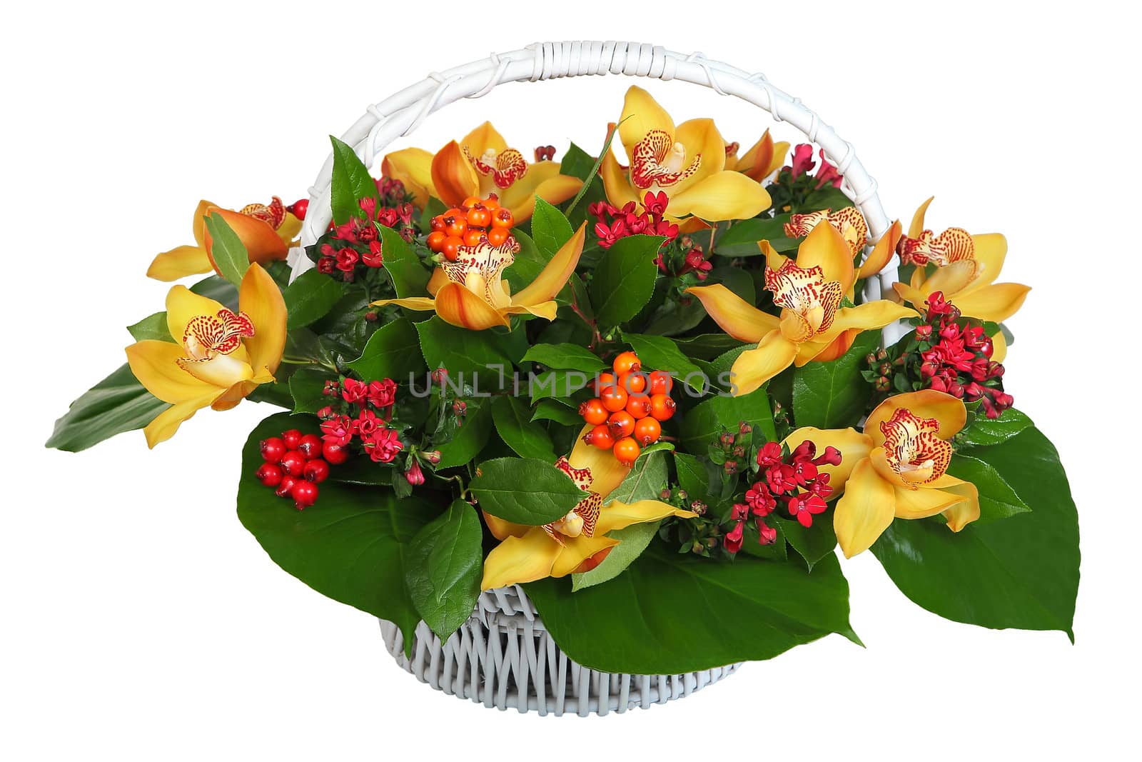 Bouquet of flowers in a white wicker basket: Orchid - large cream-colored flowers, pyracantha, Hypericum. The isolated image on a white background.