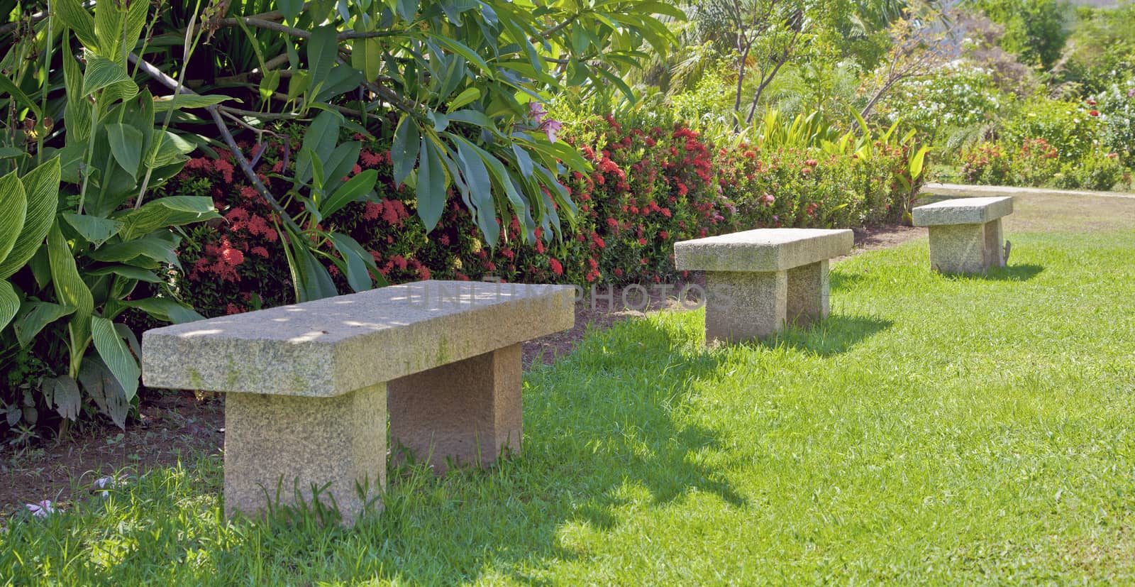 Horizontal color landscape taken in a tropical garden at Pondicherry India of three natural stone garden benches with a lizard climbing up the distant seating. Lush green lawn, leafy hedges and multi colored flora with a panorama crop