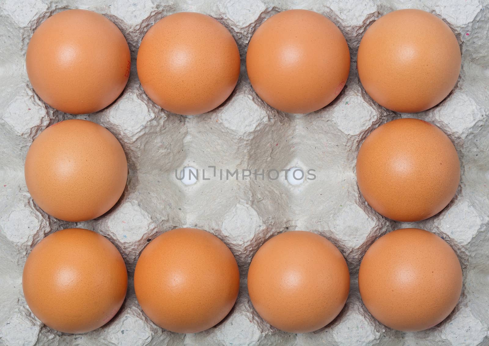 Chicken eggs by smuay