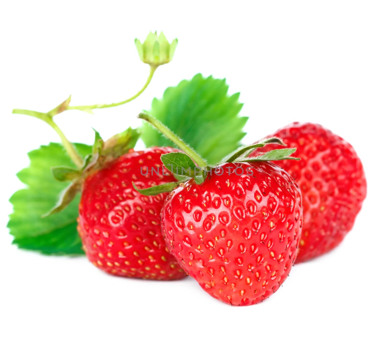 Beautiful ripe red fresh appetizing strawberries with leaves. Isolated on a white background. by Bedolaga