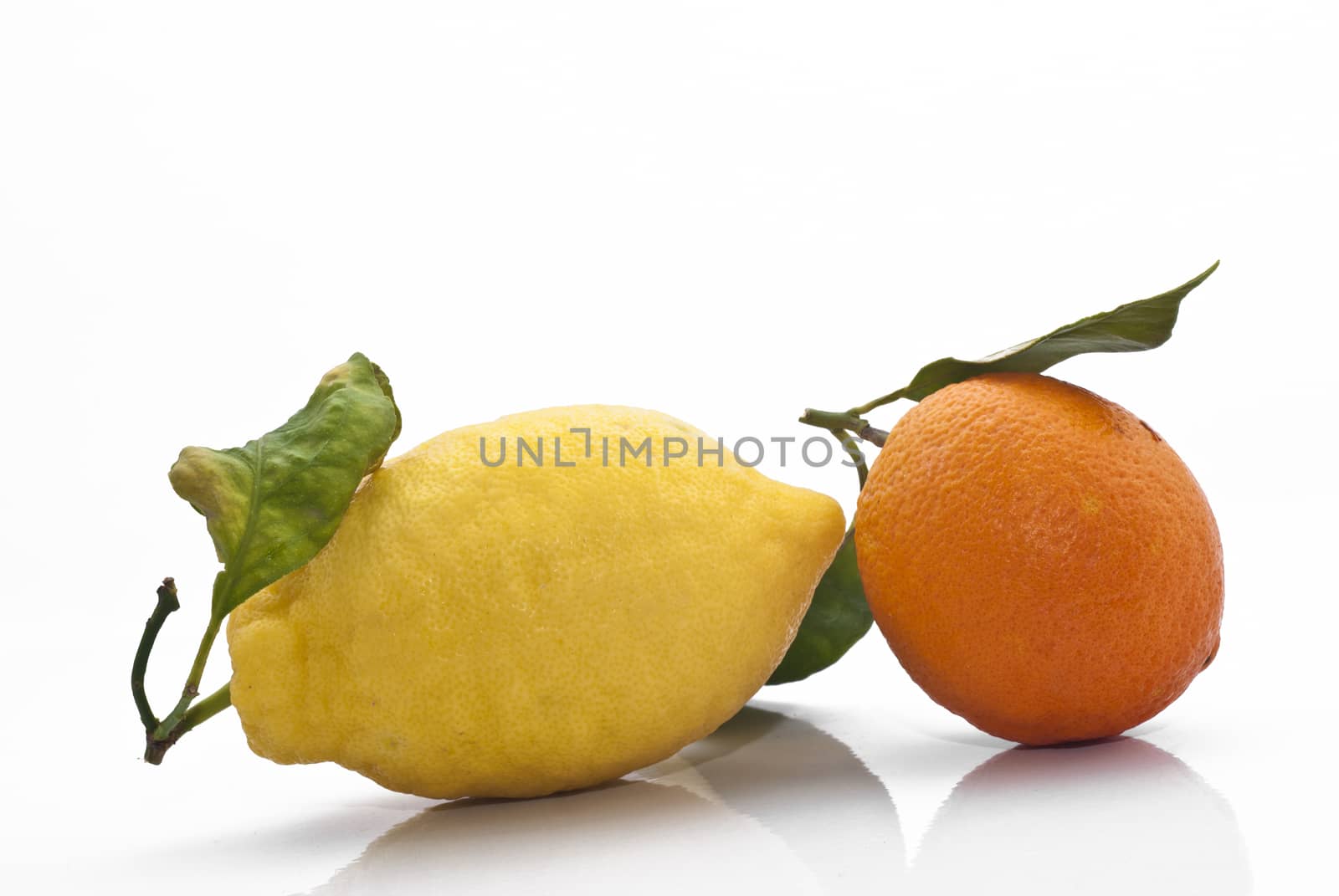 Sicilian Orange and Lemon on white background