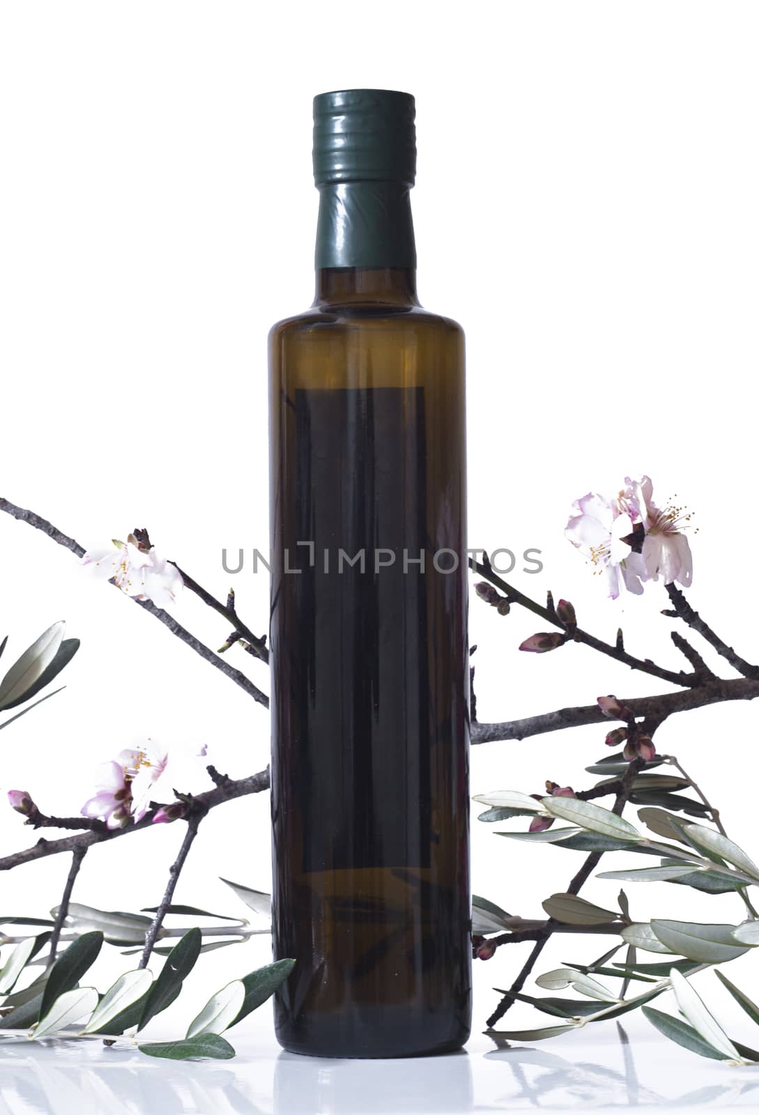 olive branch and a bottle of olive oil isolated on white background