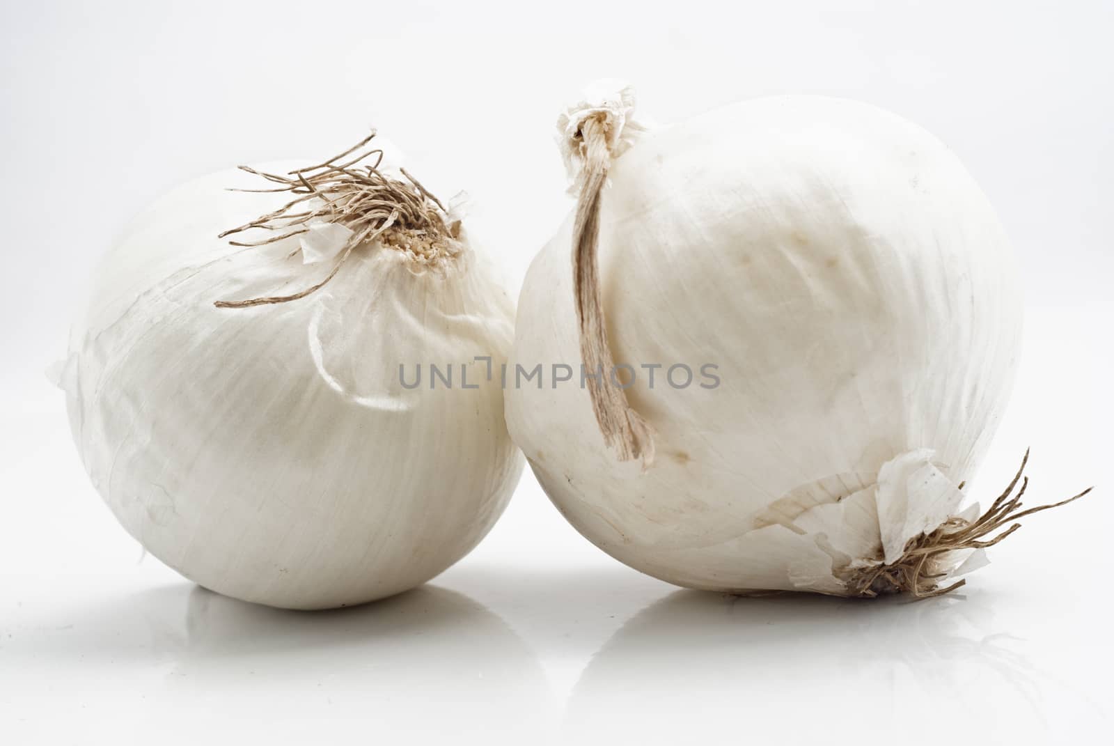 Fresh white onions isolated on white