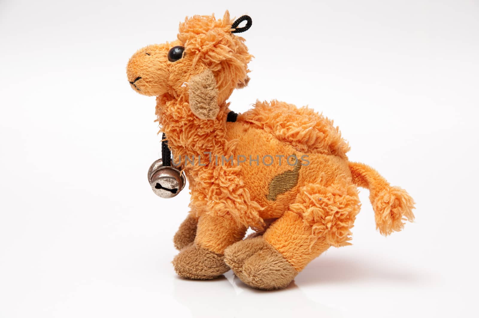 funny stuffed animal to decorate the shelves