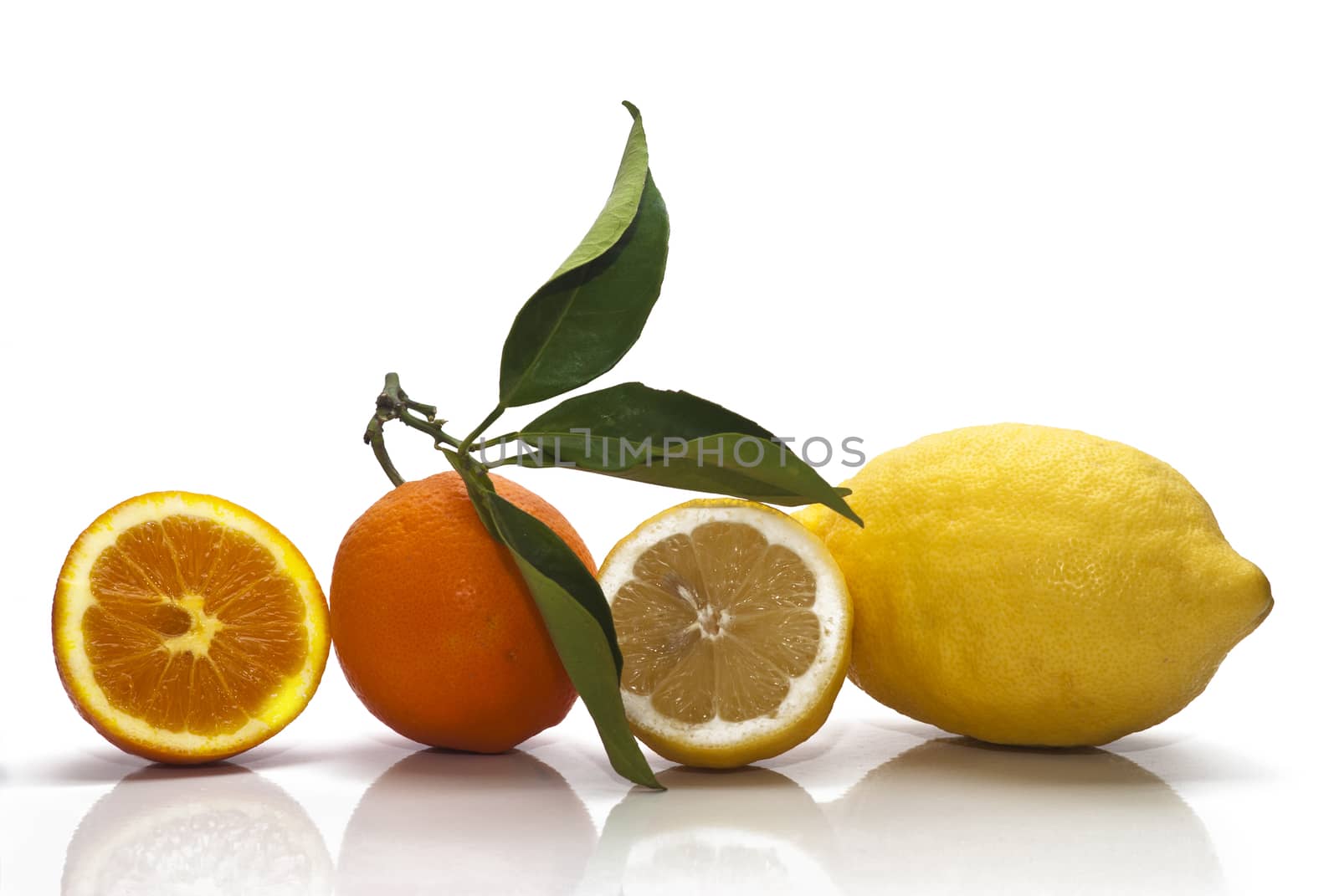 Sicilian Oranges and Lemons on white background by gandolfocannatella