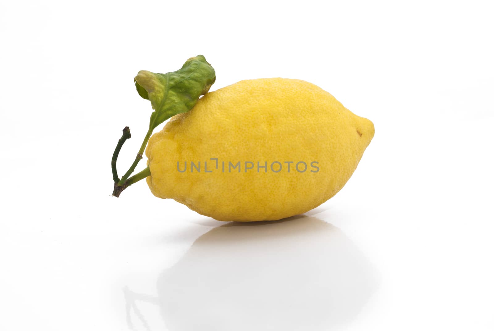 yellow sicilian fresh lemon isolated on a white background