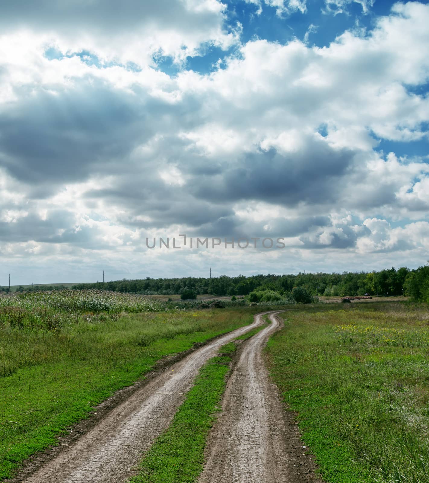 dirty road to horizon under dramatic sky by mycola