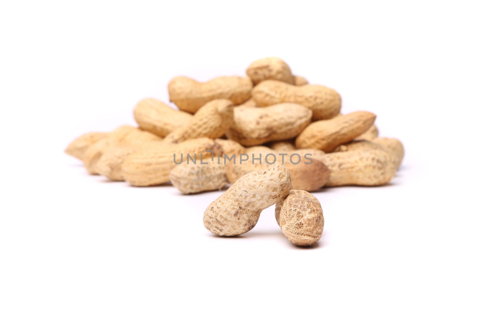 Two peanuts in closeup on the peanut background